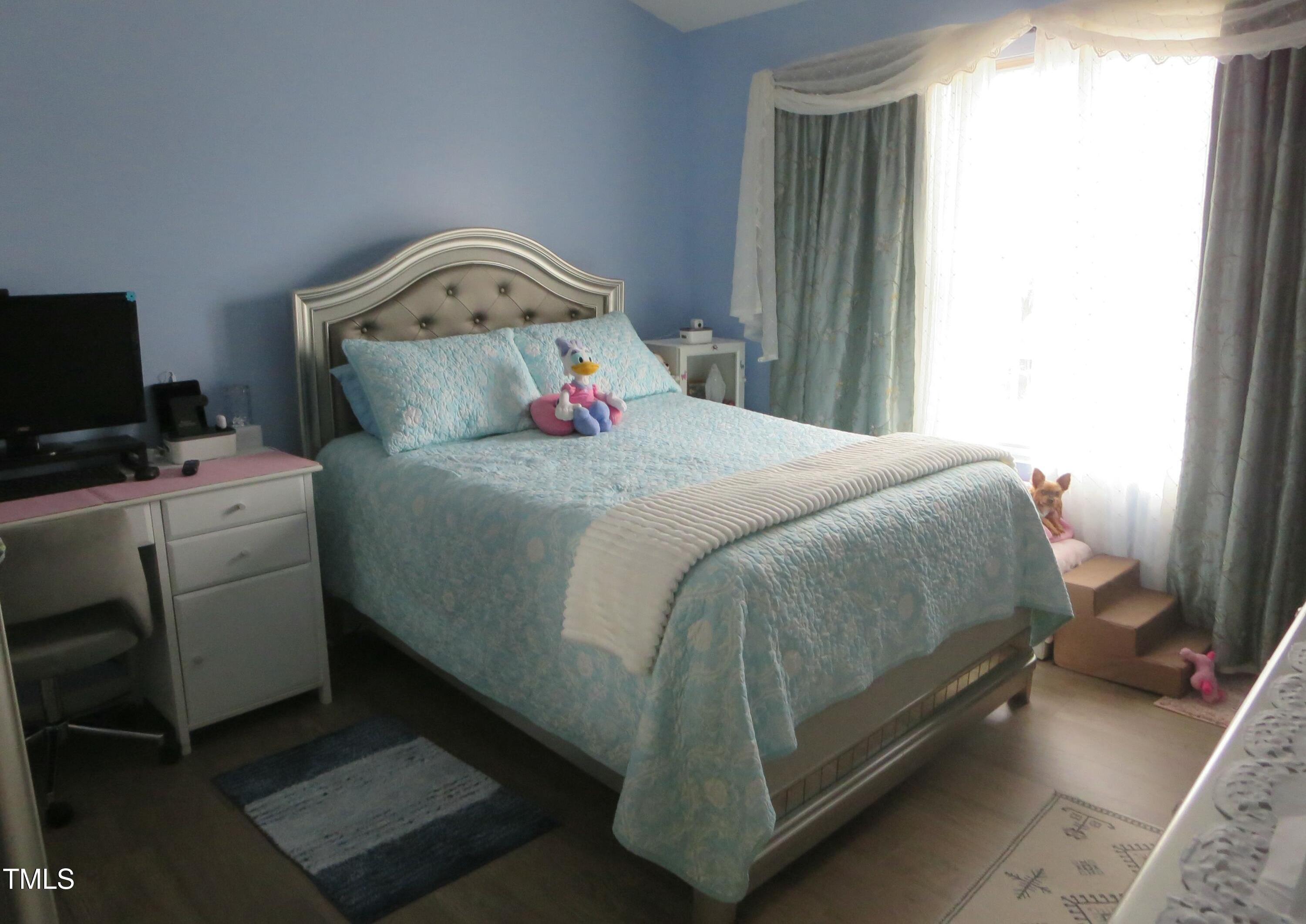Photo #12