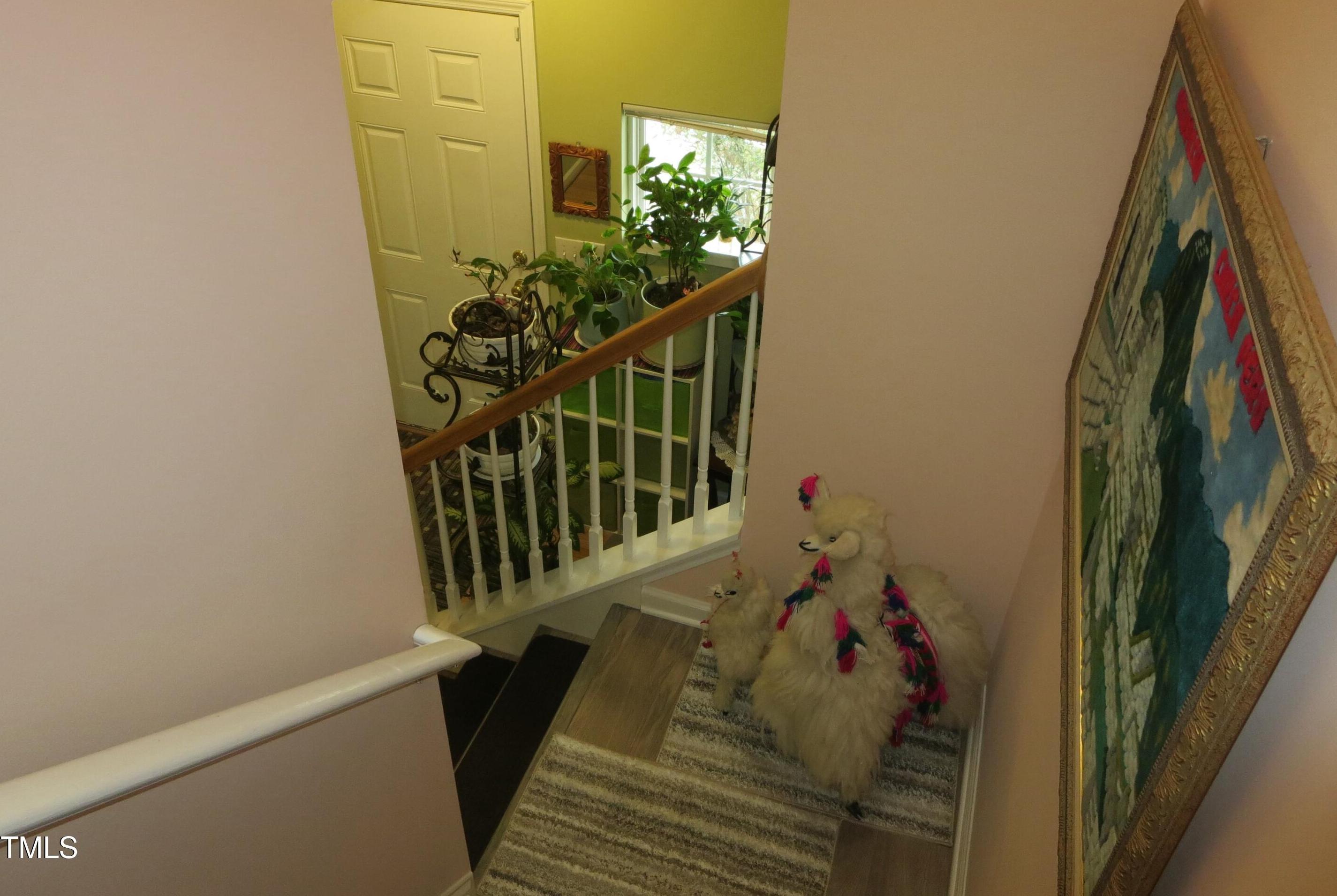 Photo #21