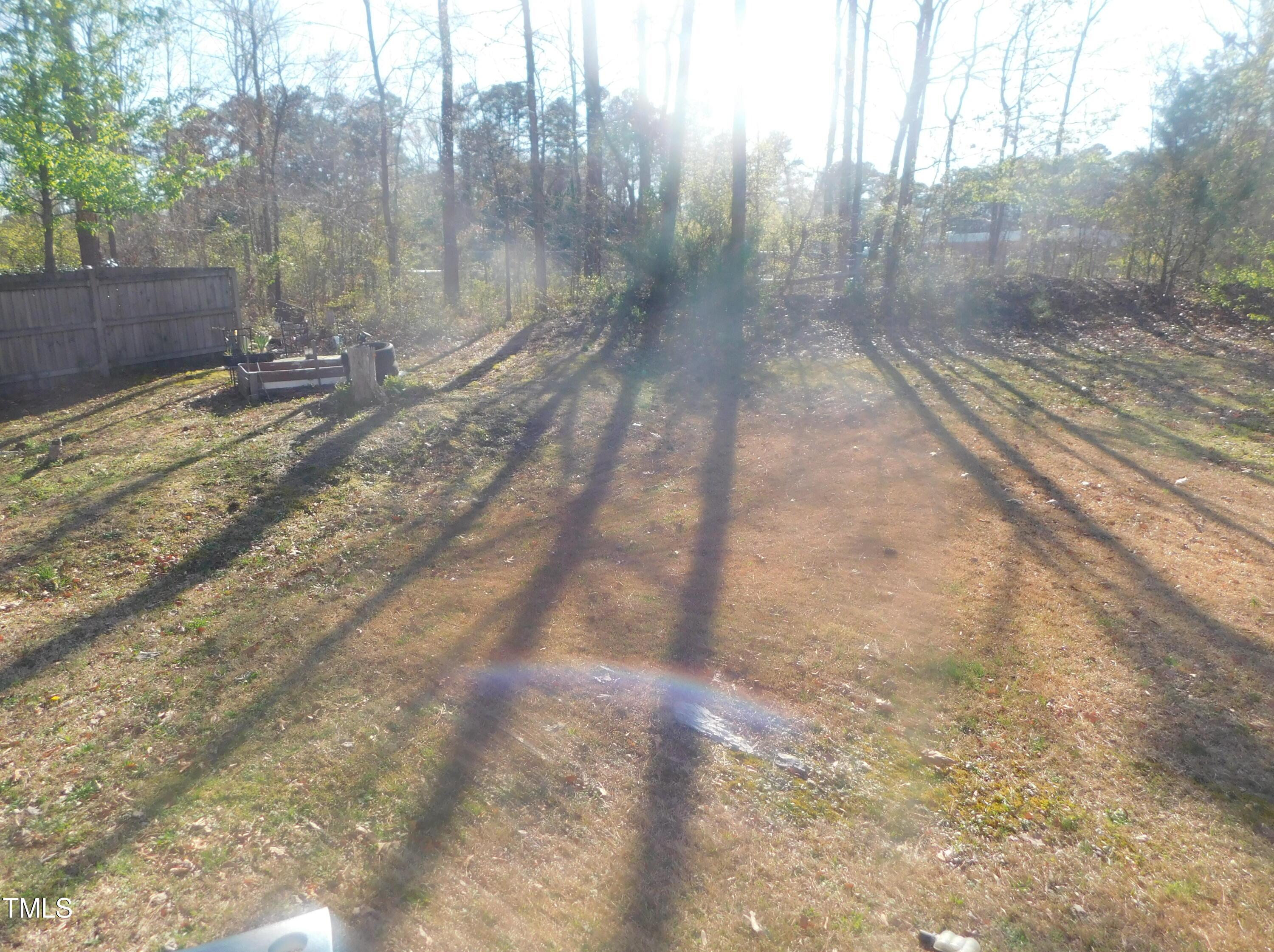 Photo #3