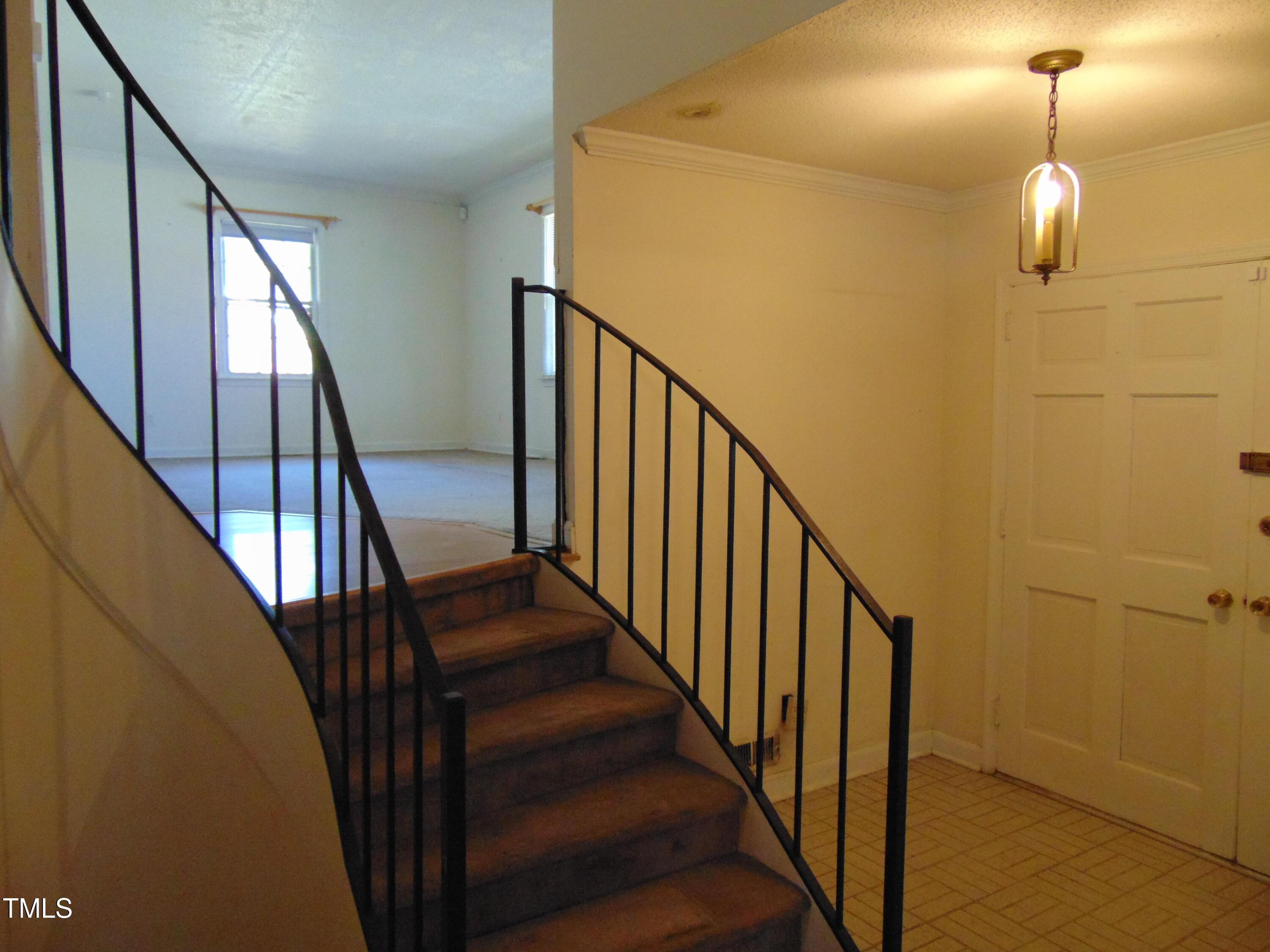 Photo #8