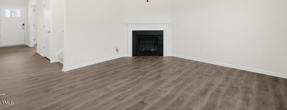 Photo #11
