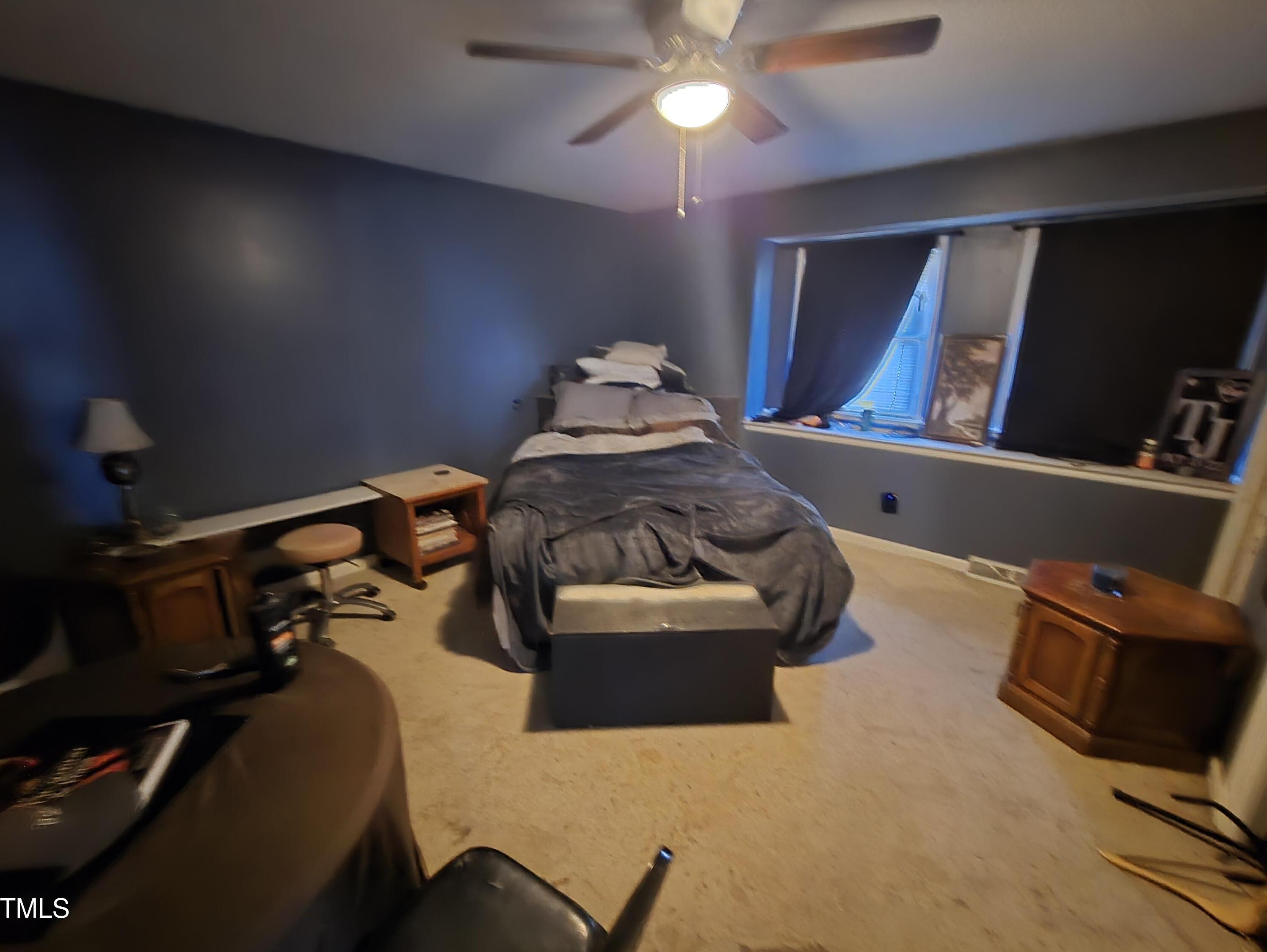 Photo #11