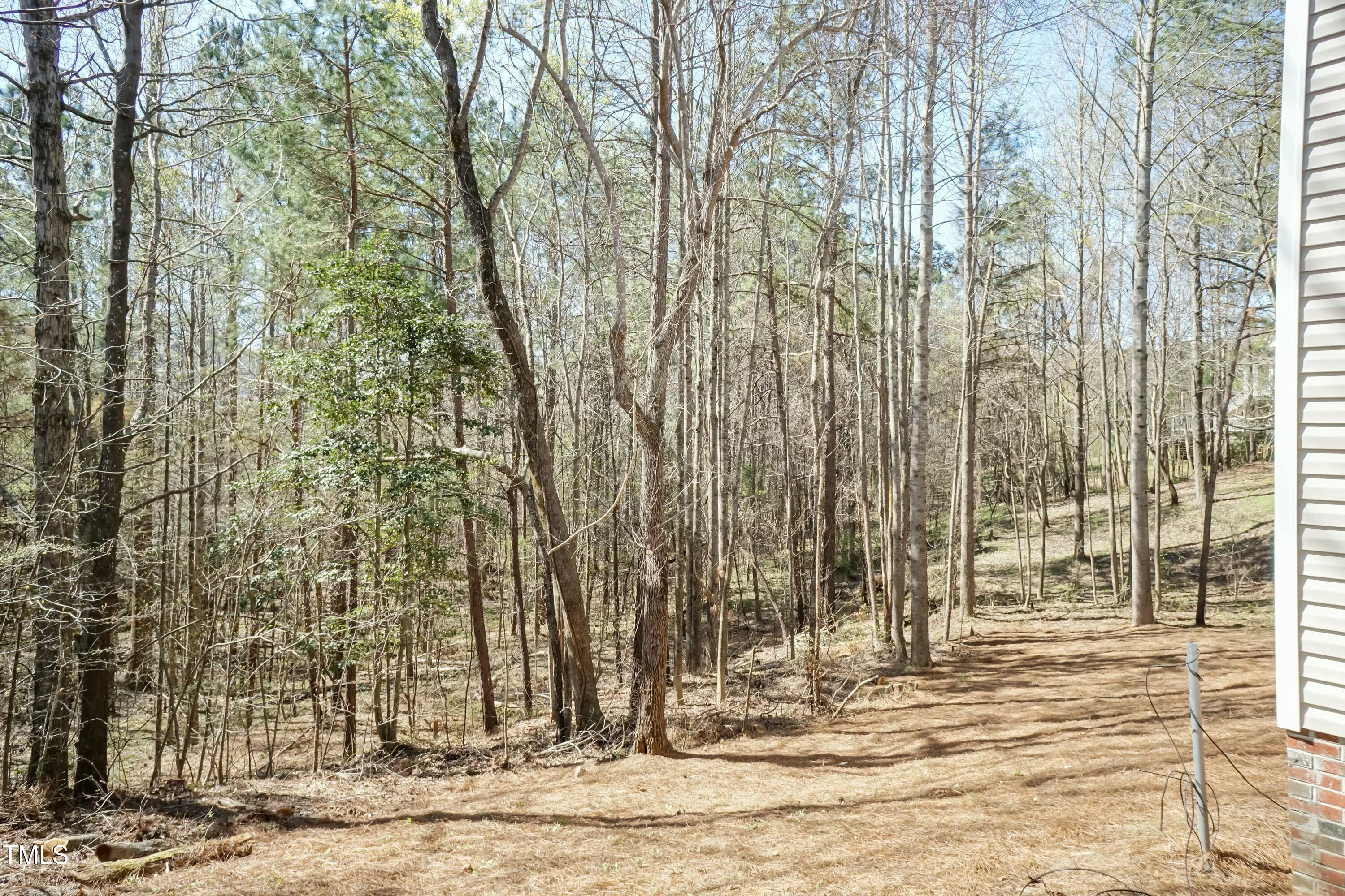 Photo #35