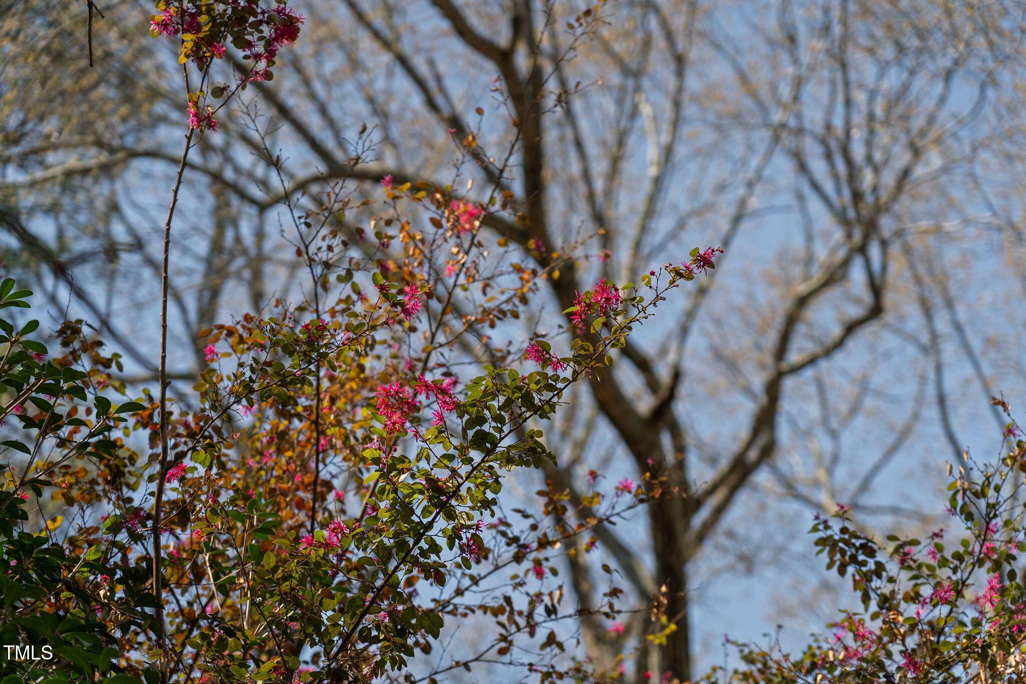 Photo #5