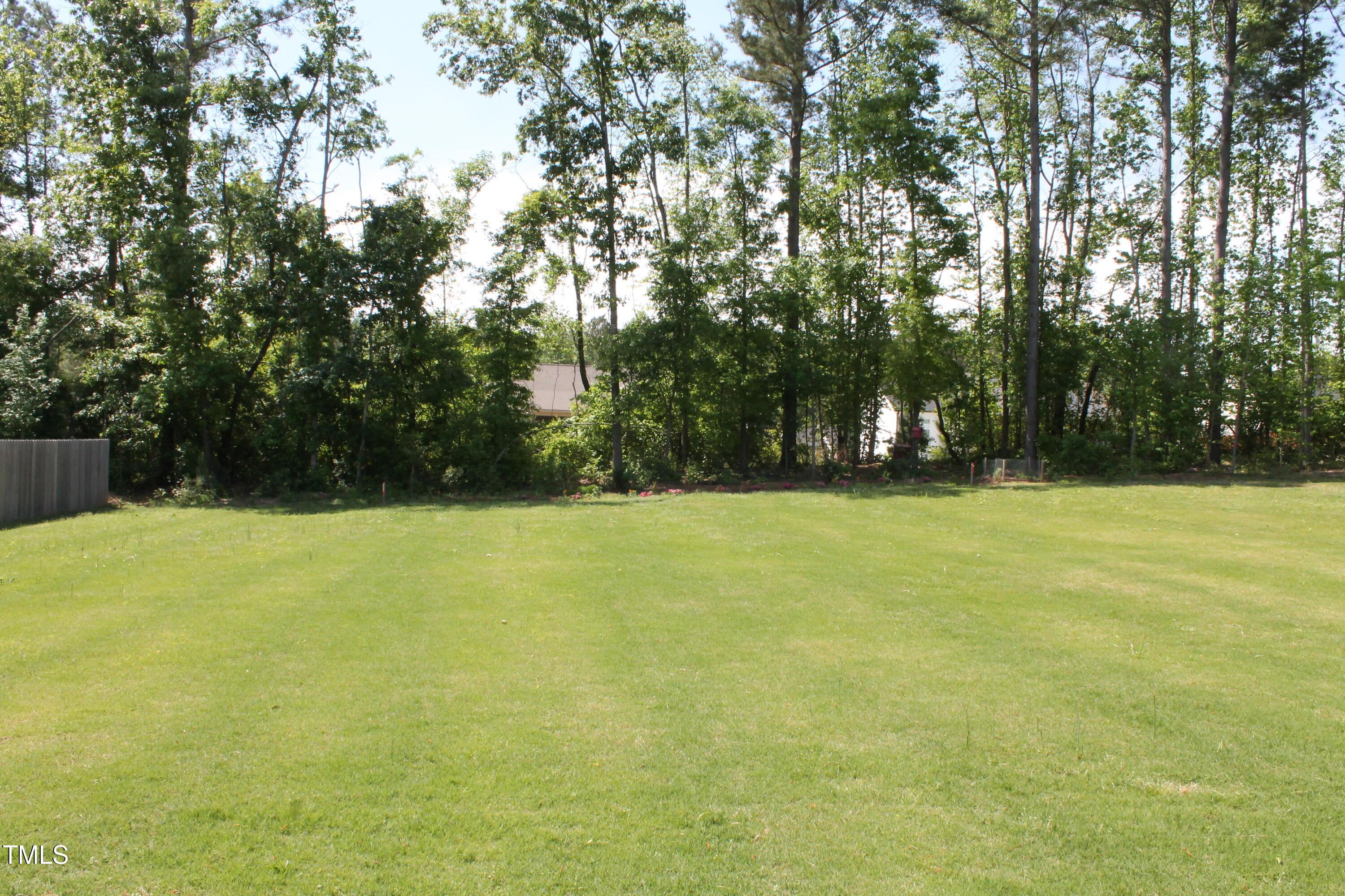 Photo #48