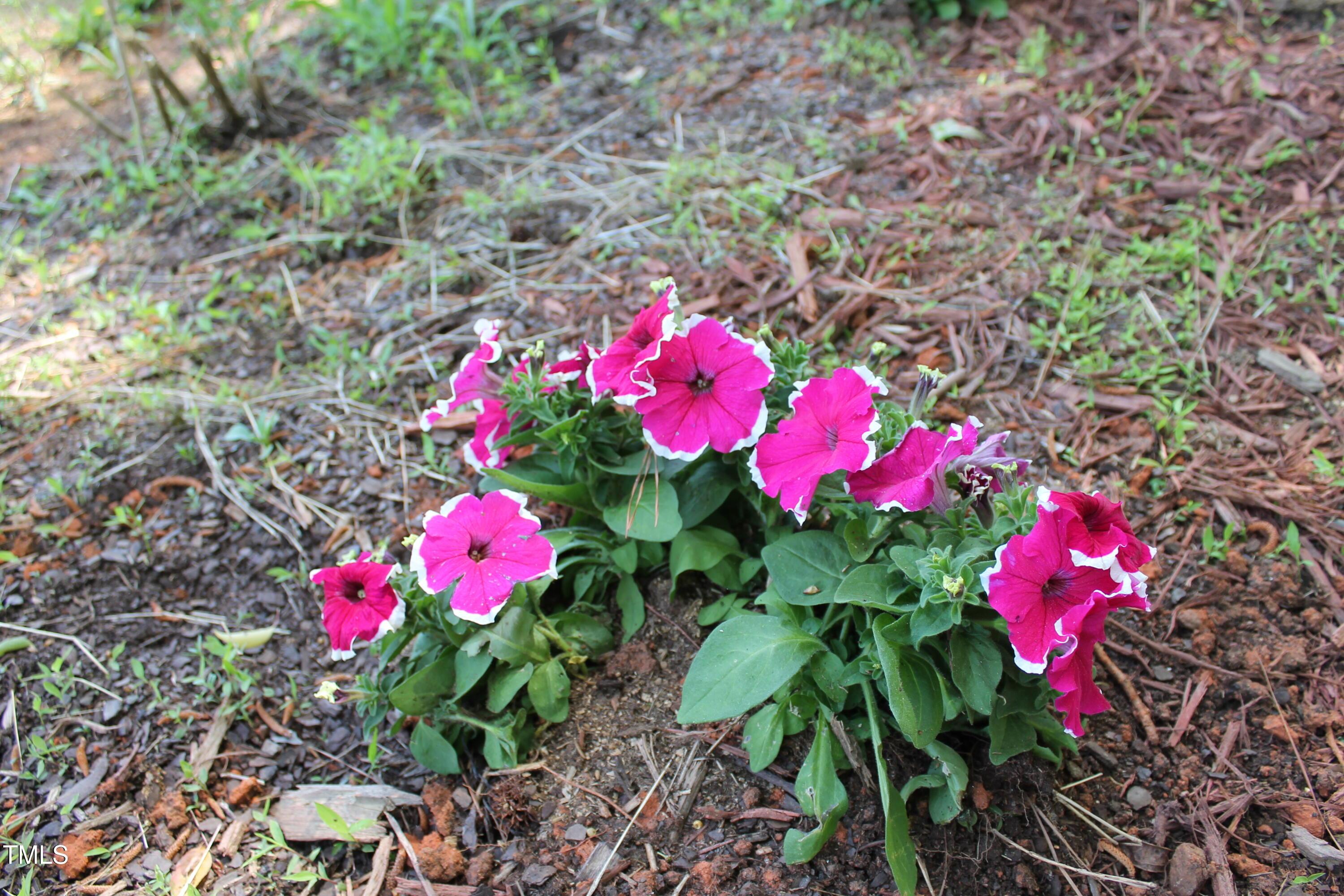 Photo #55