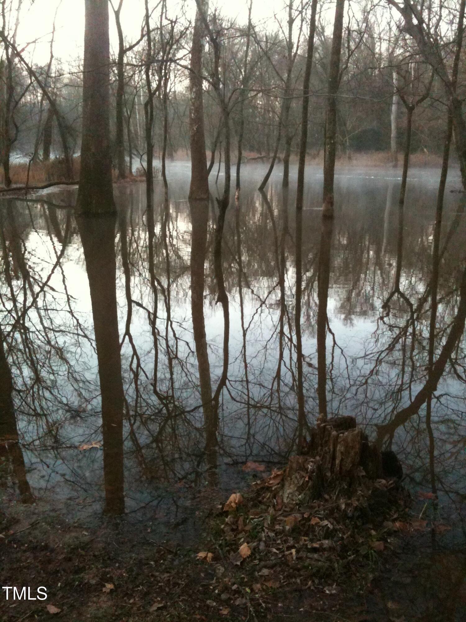 Photo #44