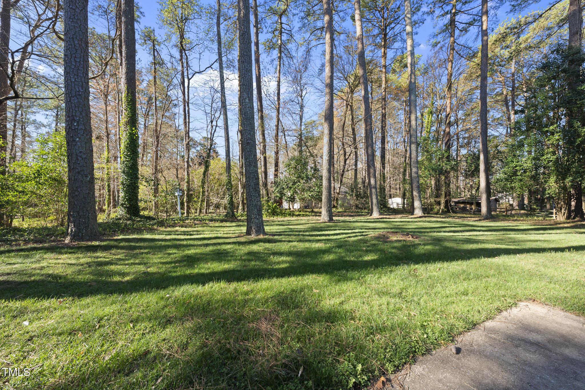 Photo #36