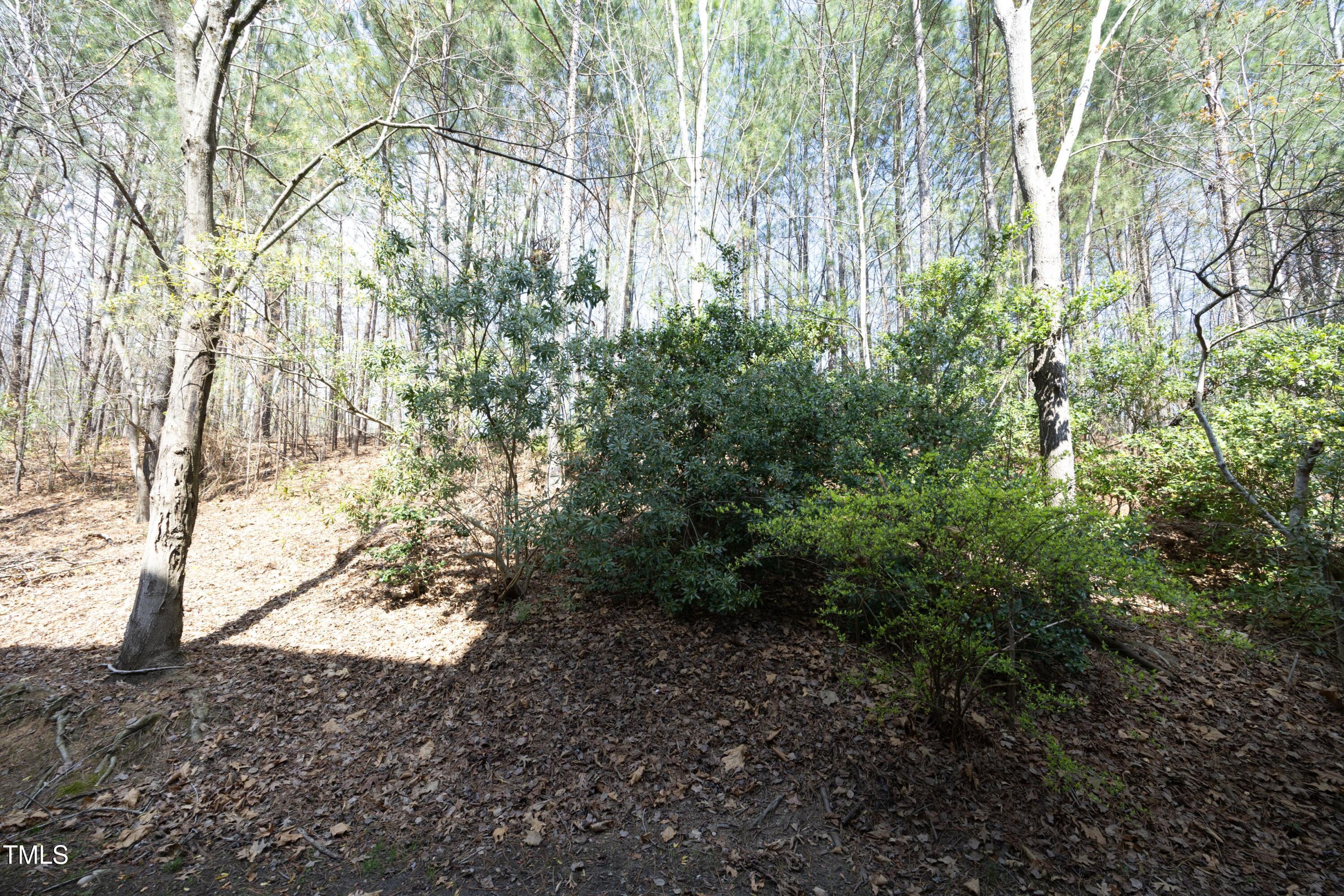 Photo #33