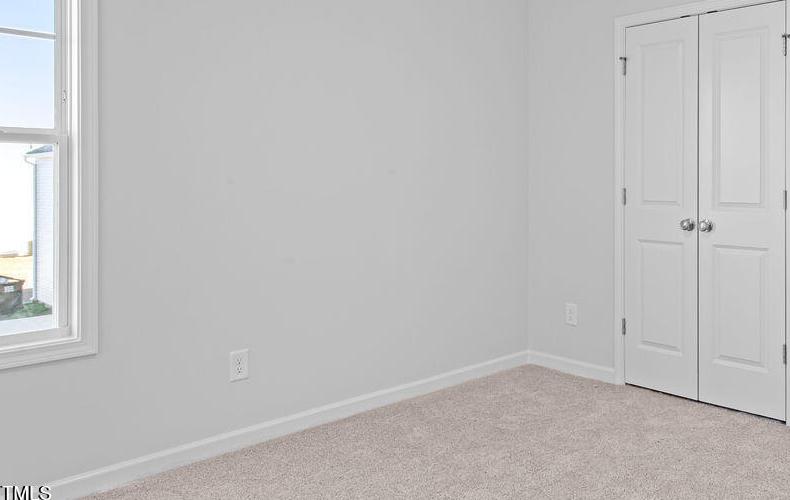 Photo #20