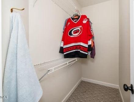 Photo #23