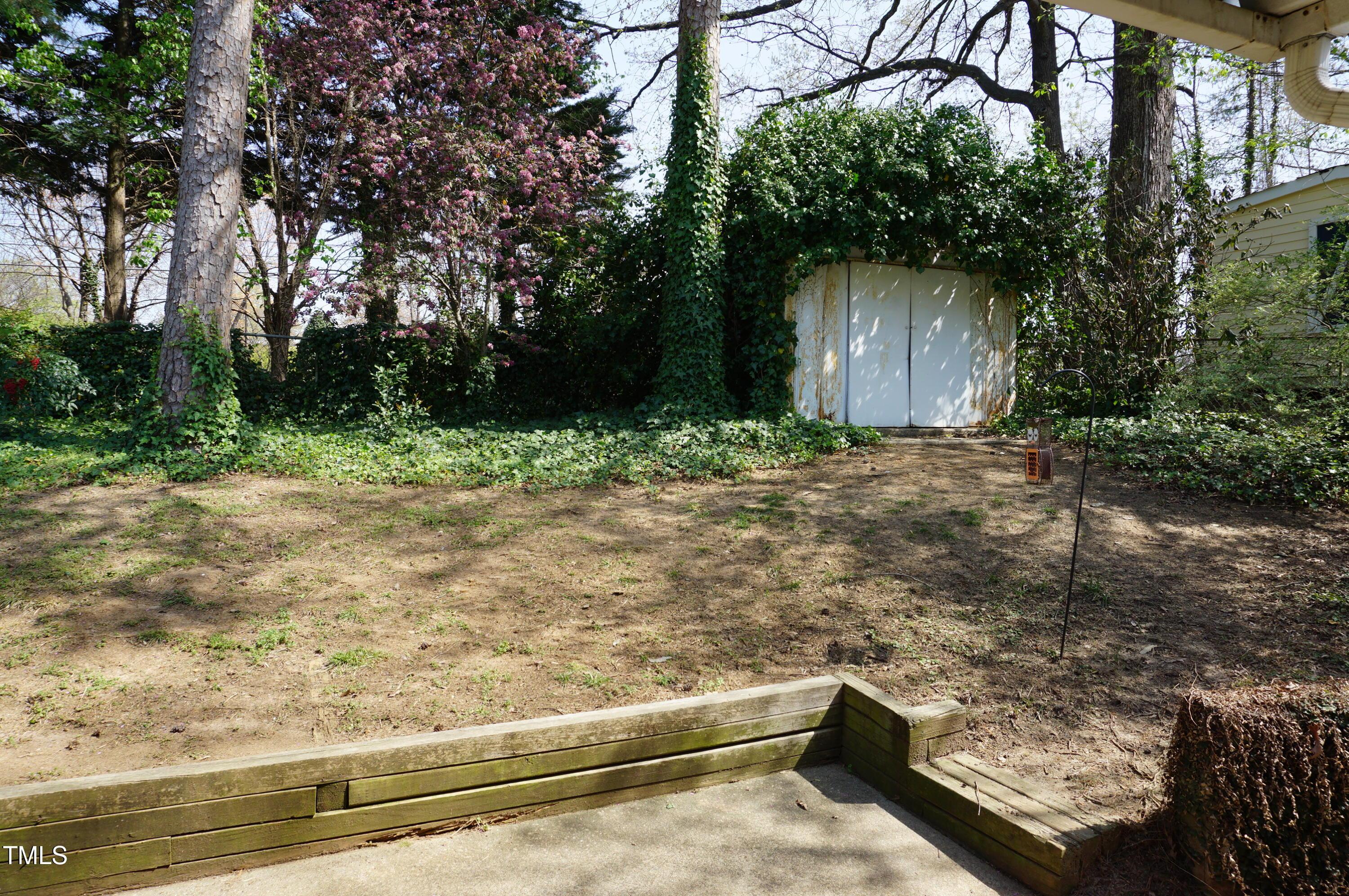 Photo #29