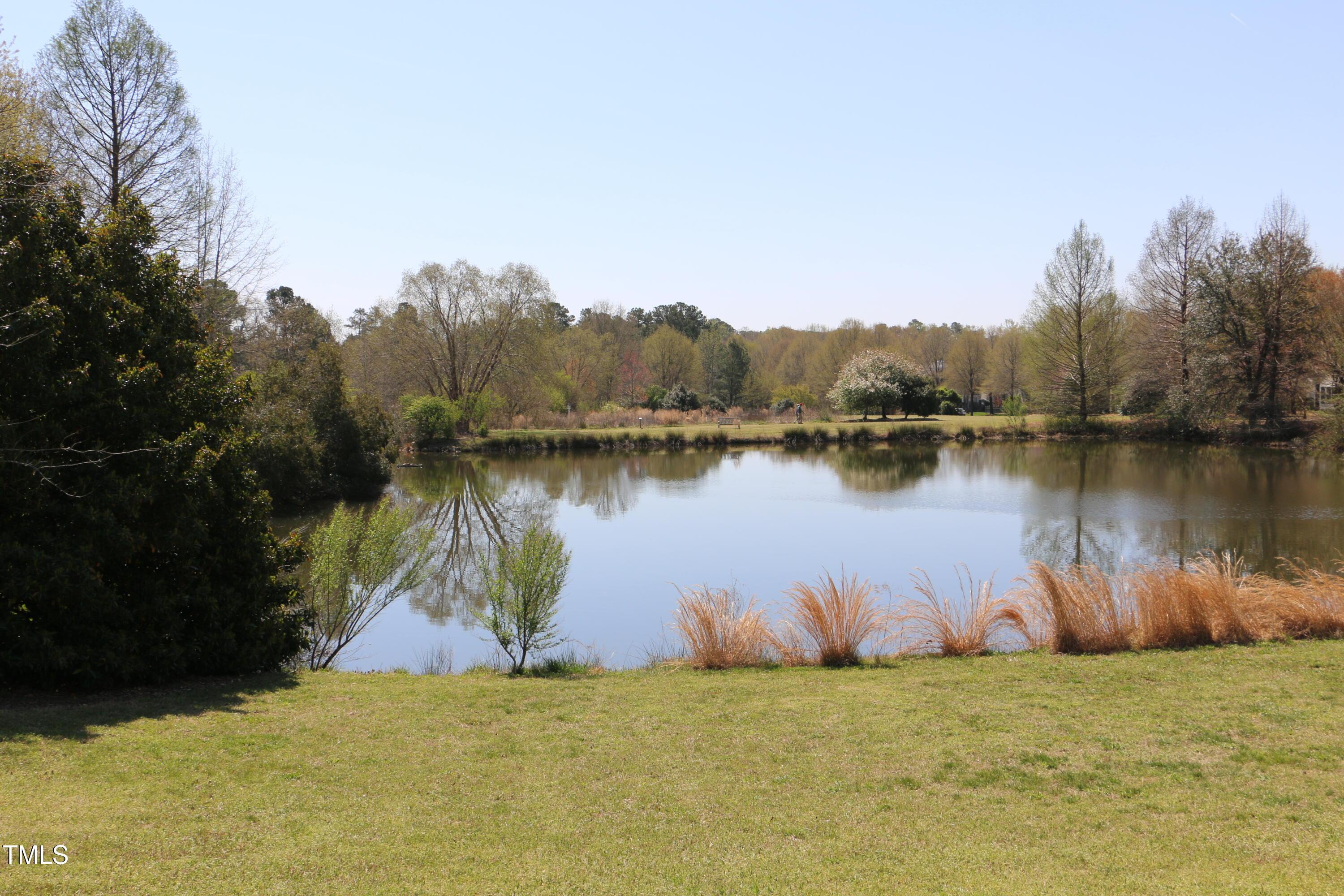 Photo #49