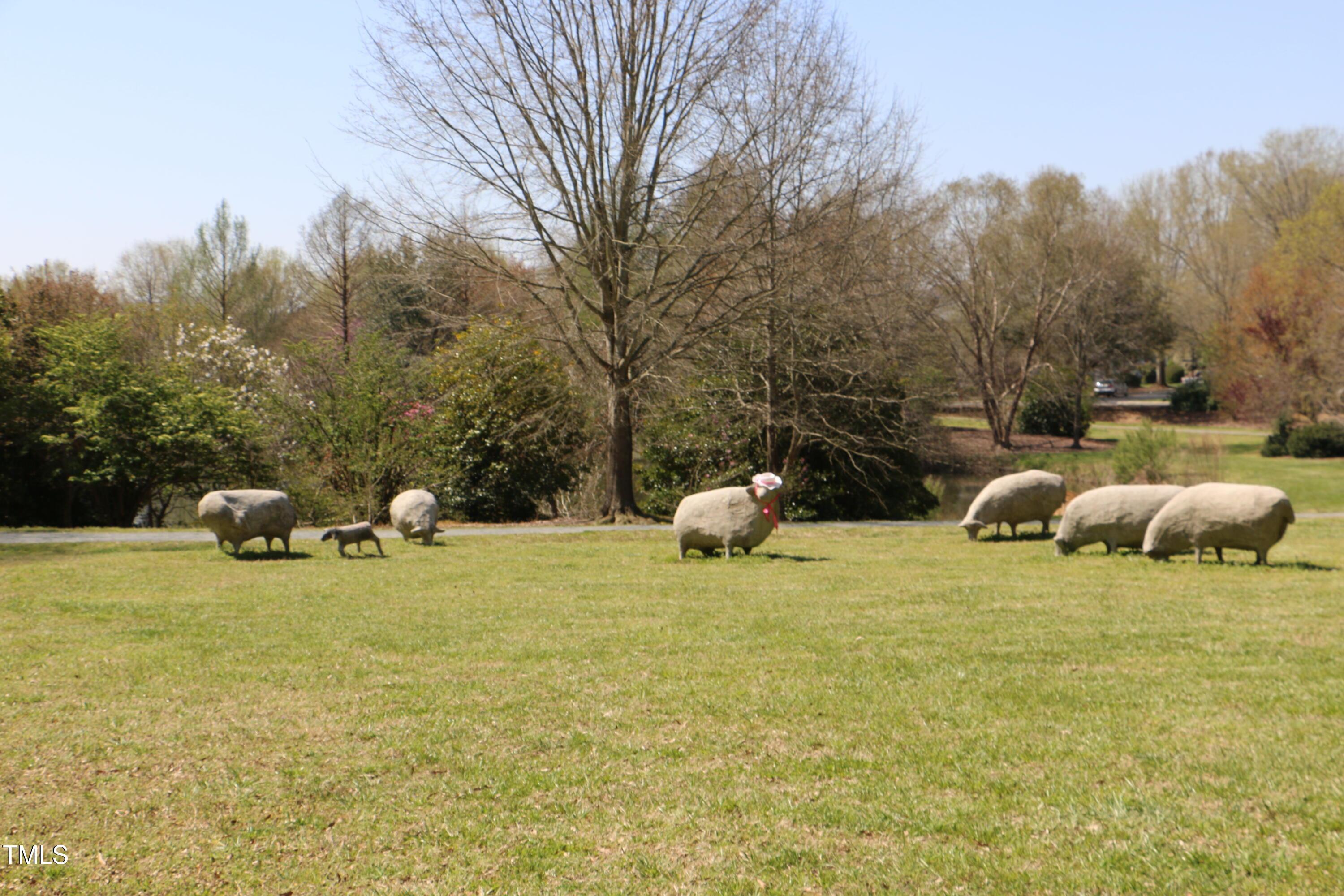 Photo #47