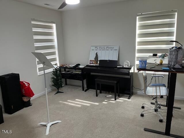 Photo #15