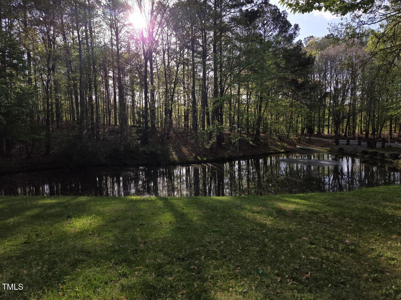 Photo #4