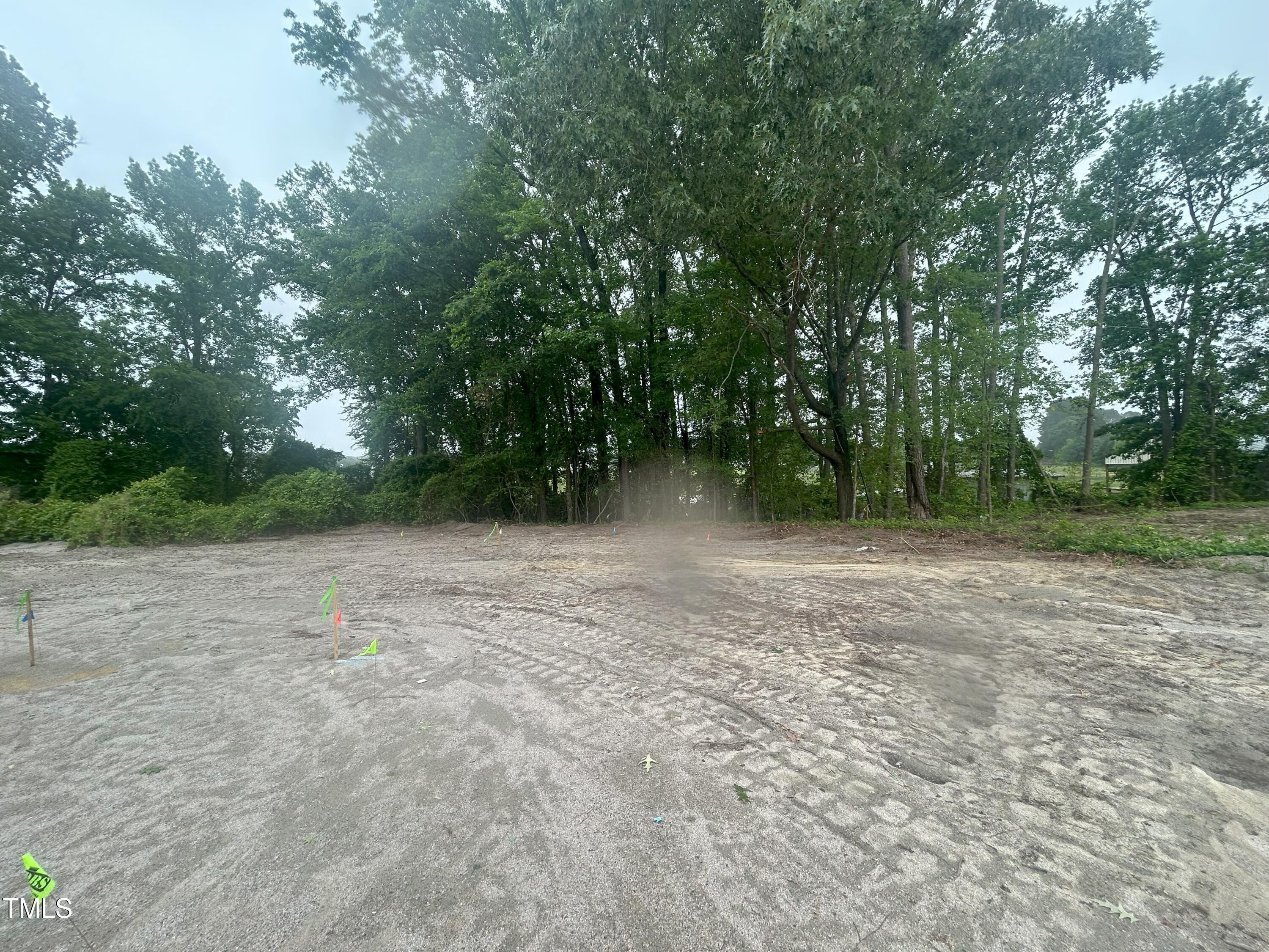 Photo #15