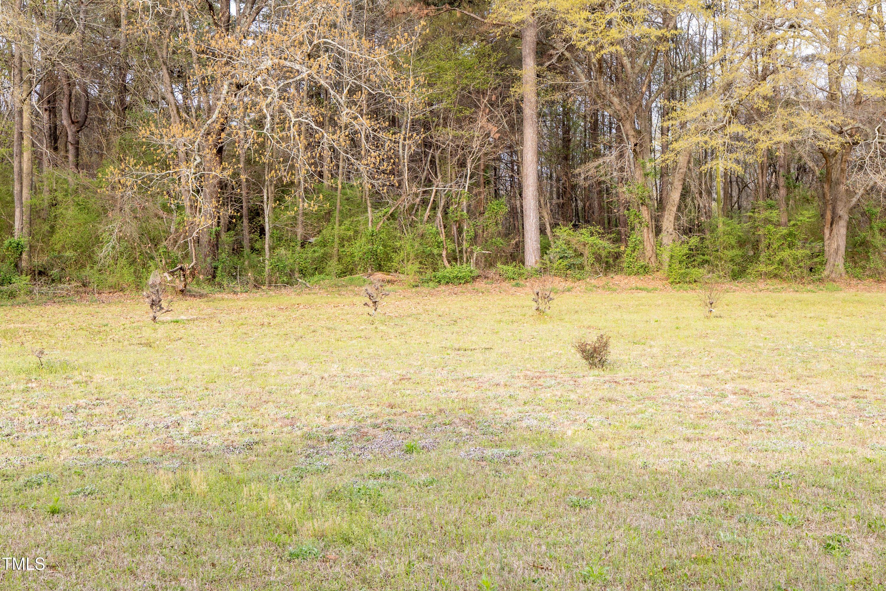 Photo #29