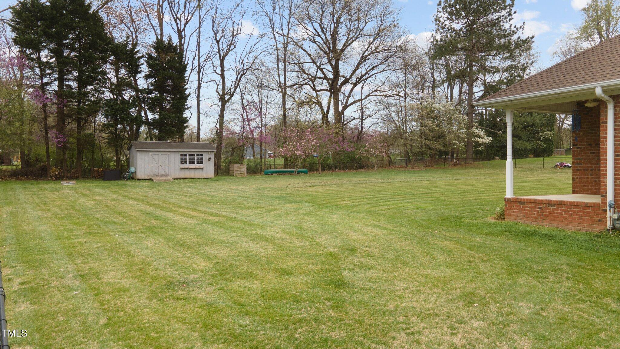 Photo #42