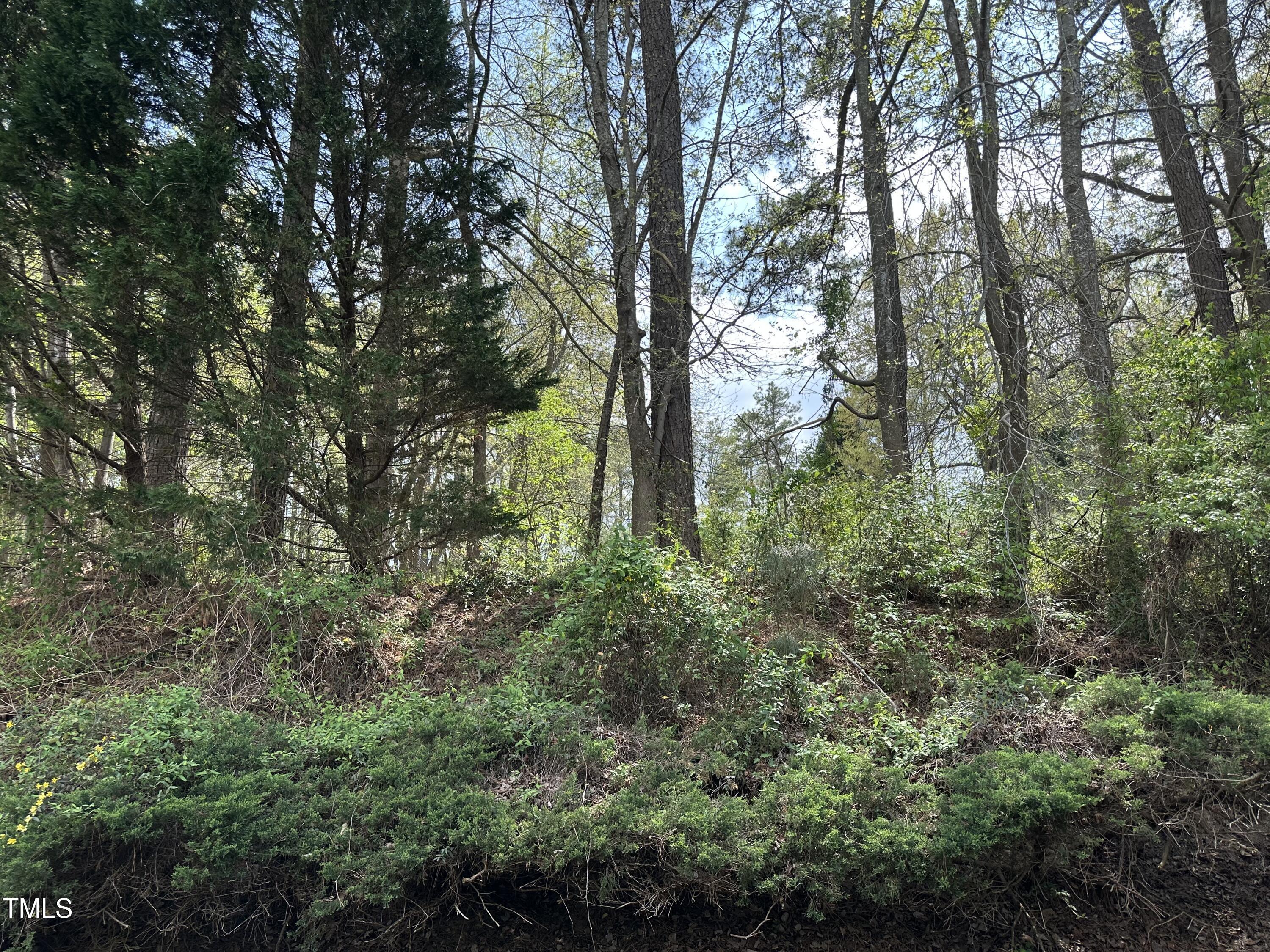 Photo #4