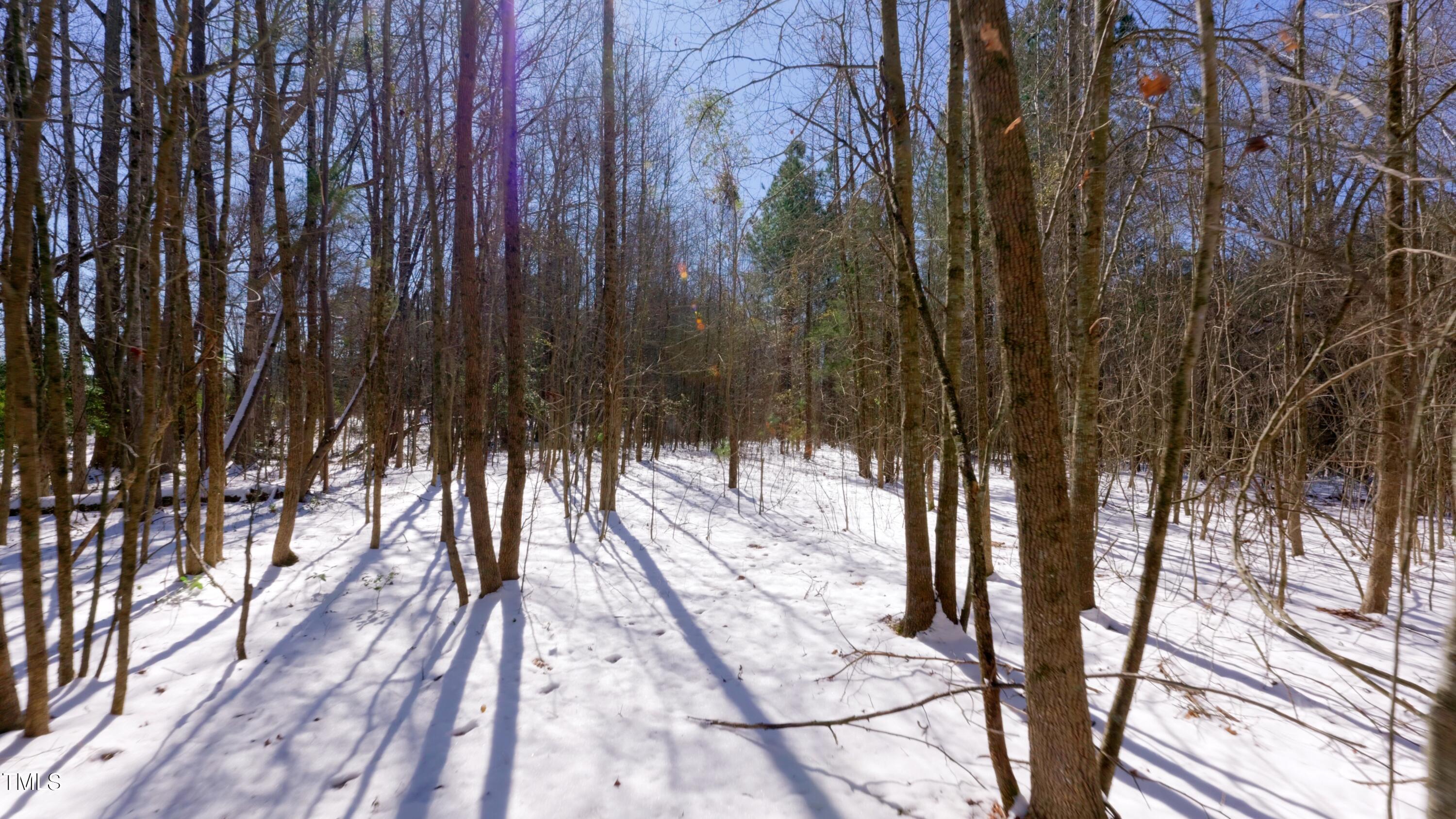 Photo #38