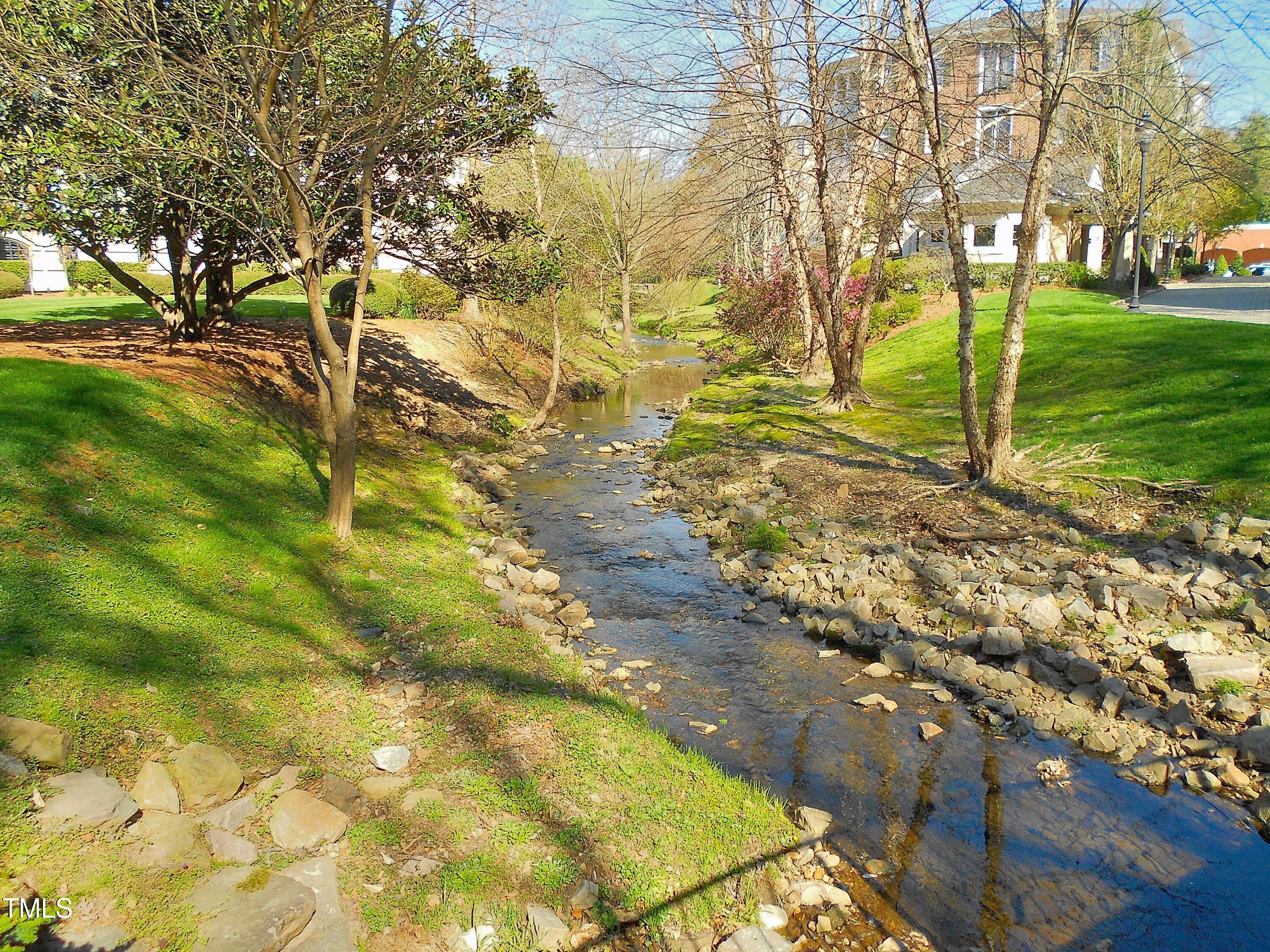 Photo #11