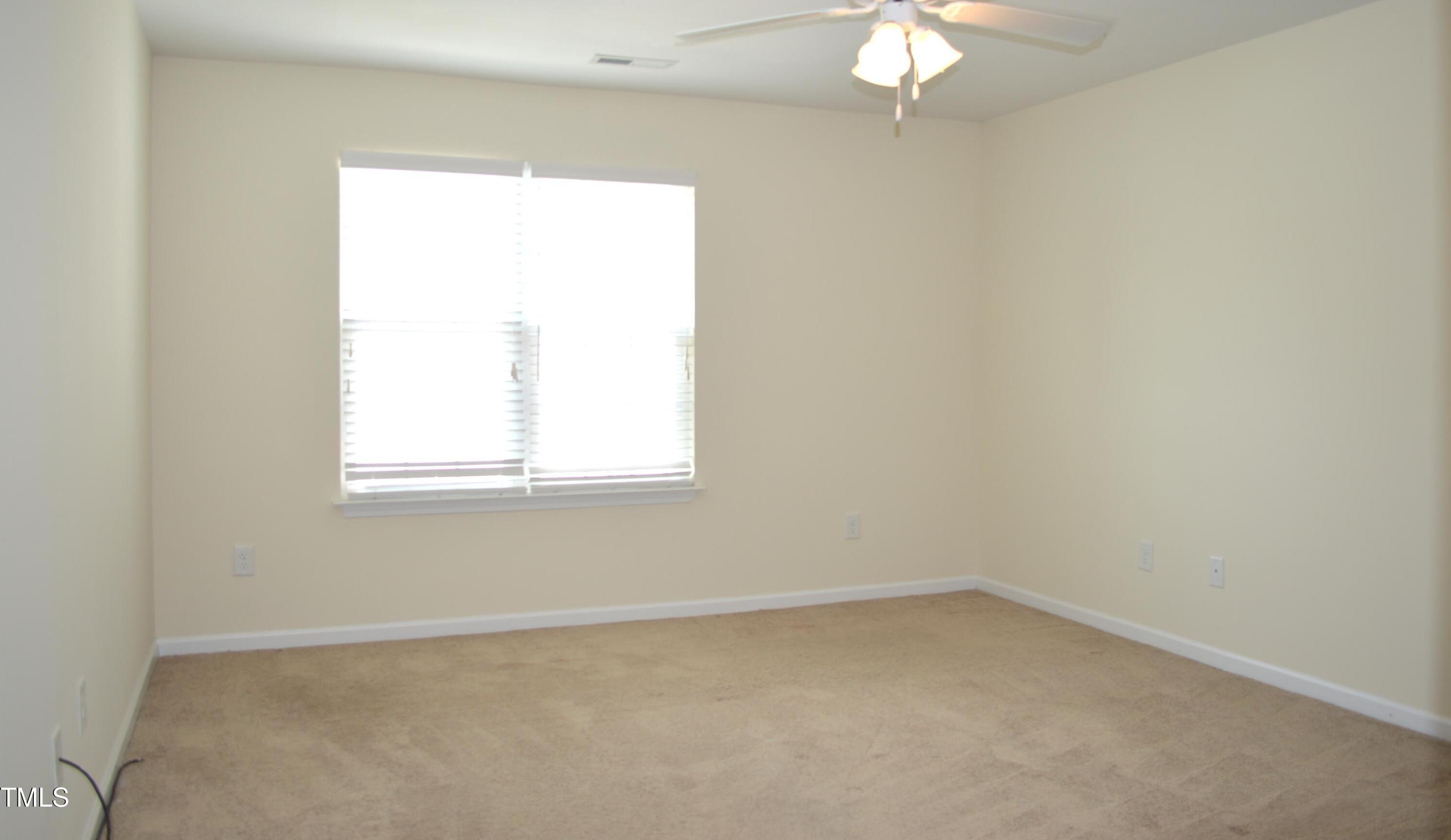 Photo #24