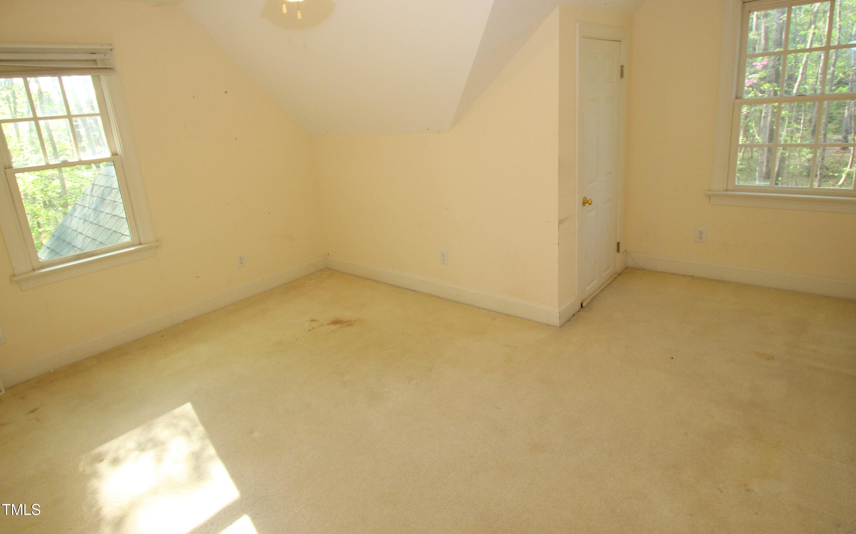 Photo #43