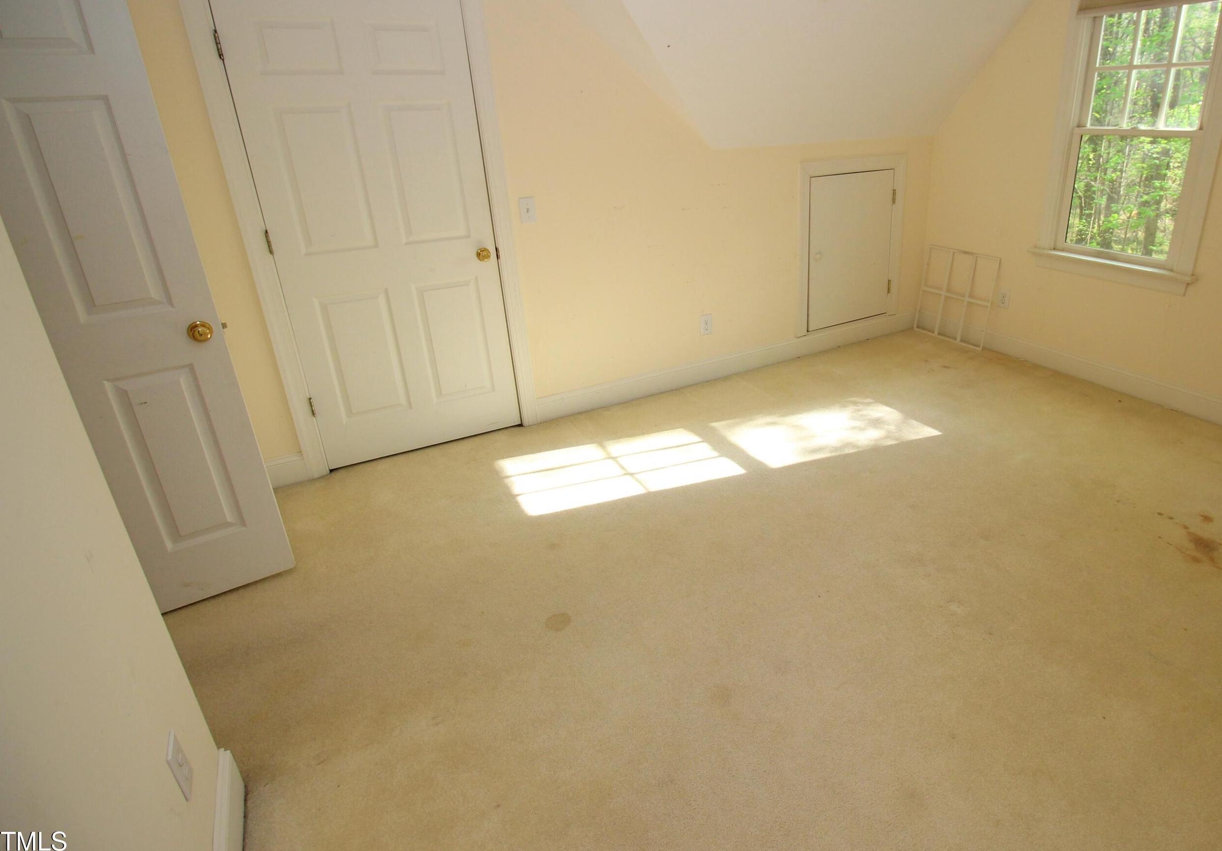 Photo #42