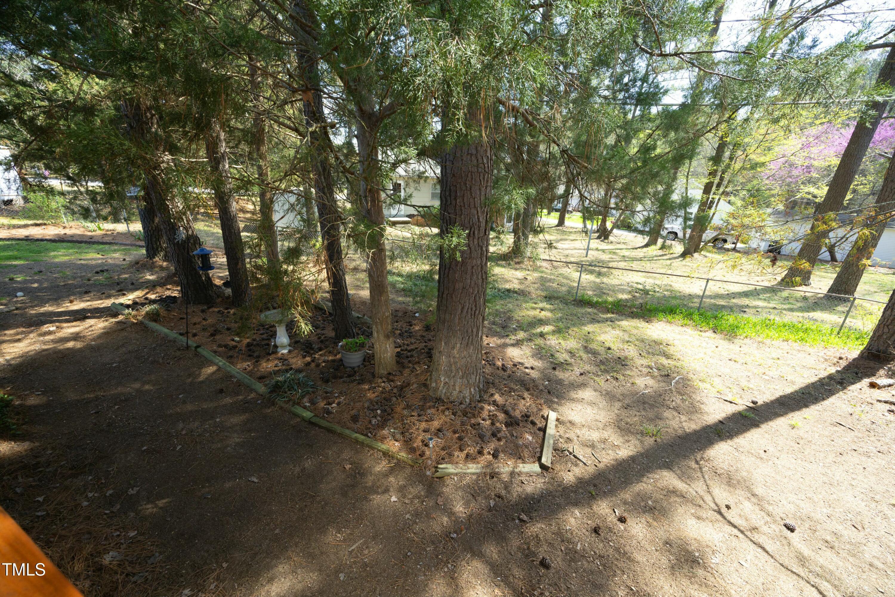 Photo #33