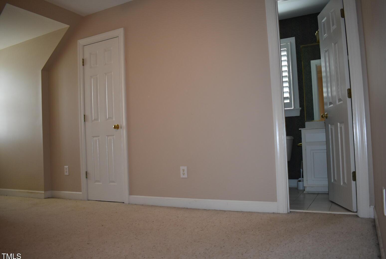 Photo #43