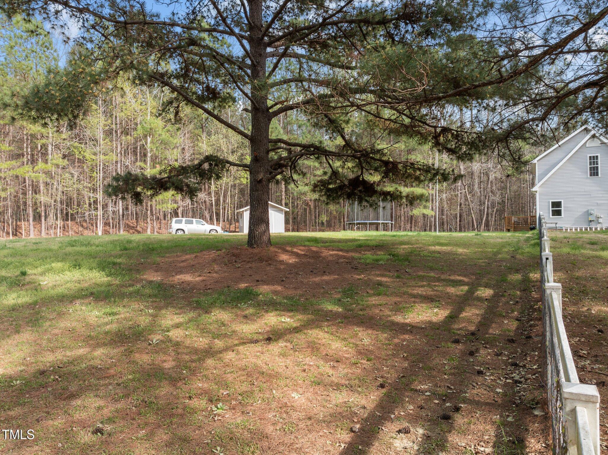 Photo #23