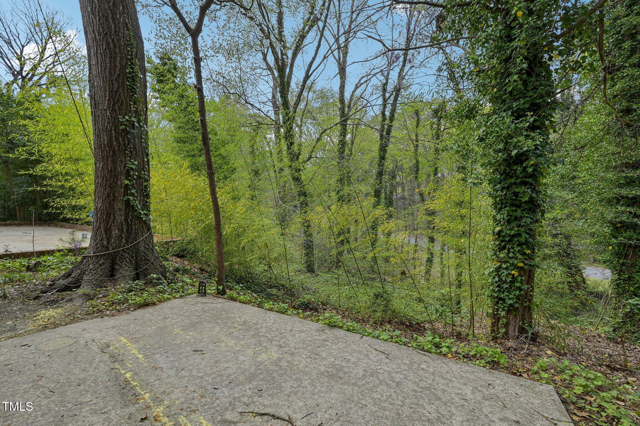 Photo #45