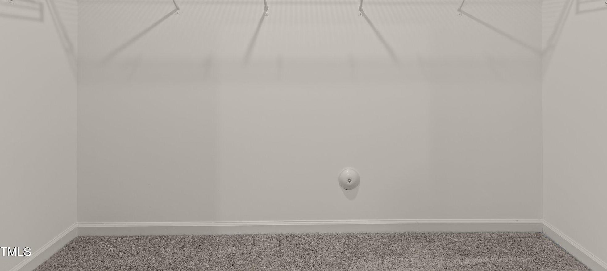 Photo #14