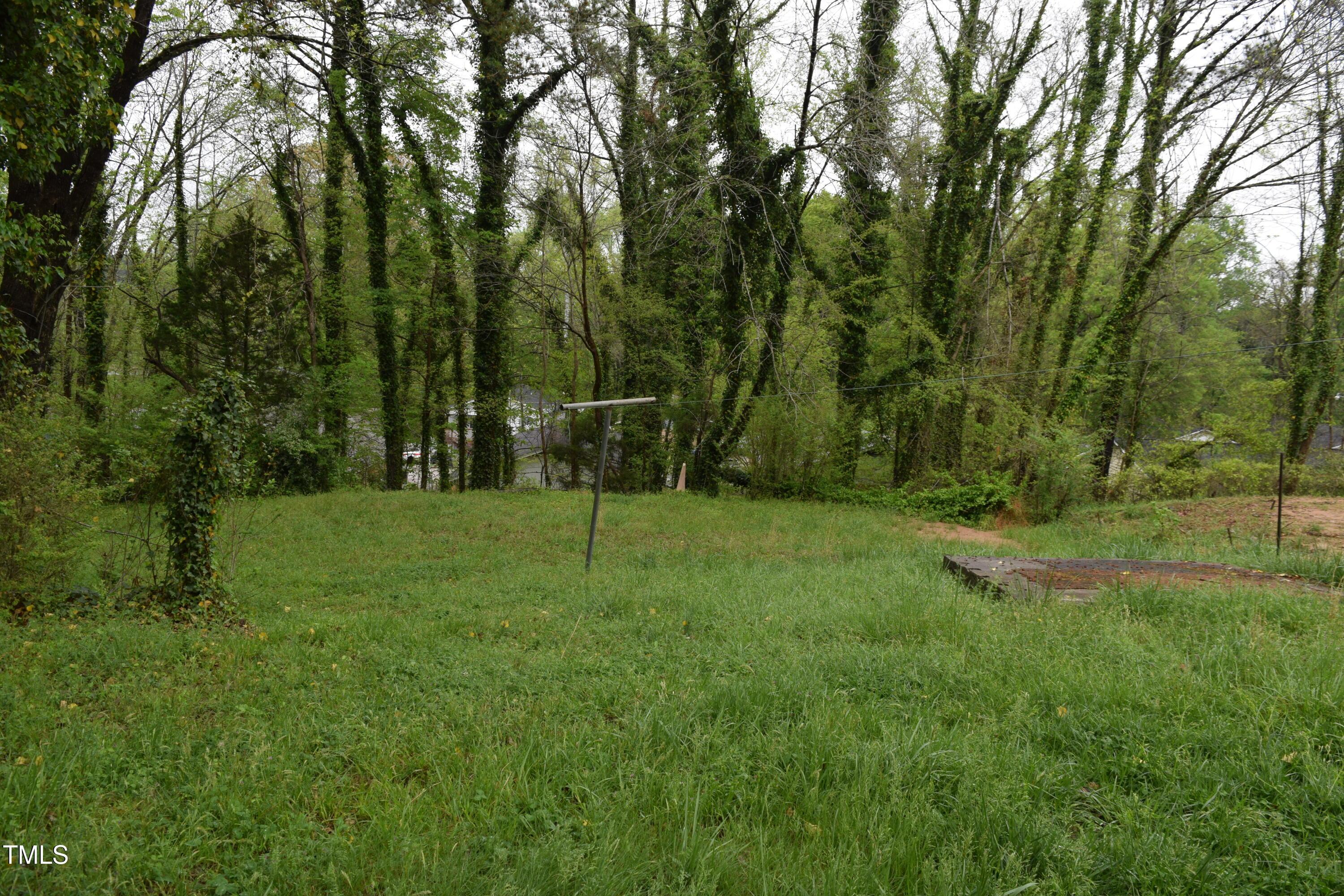 Photo #6