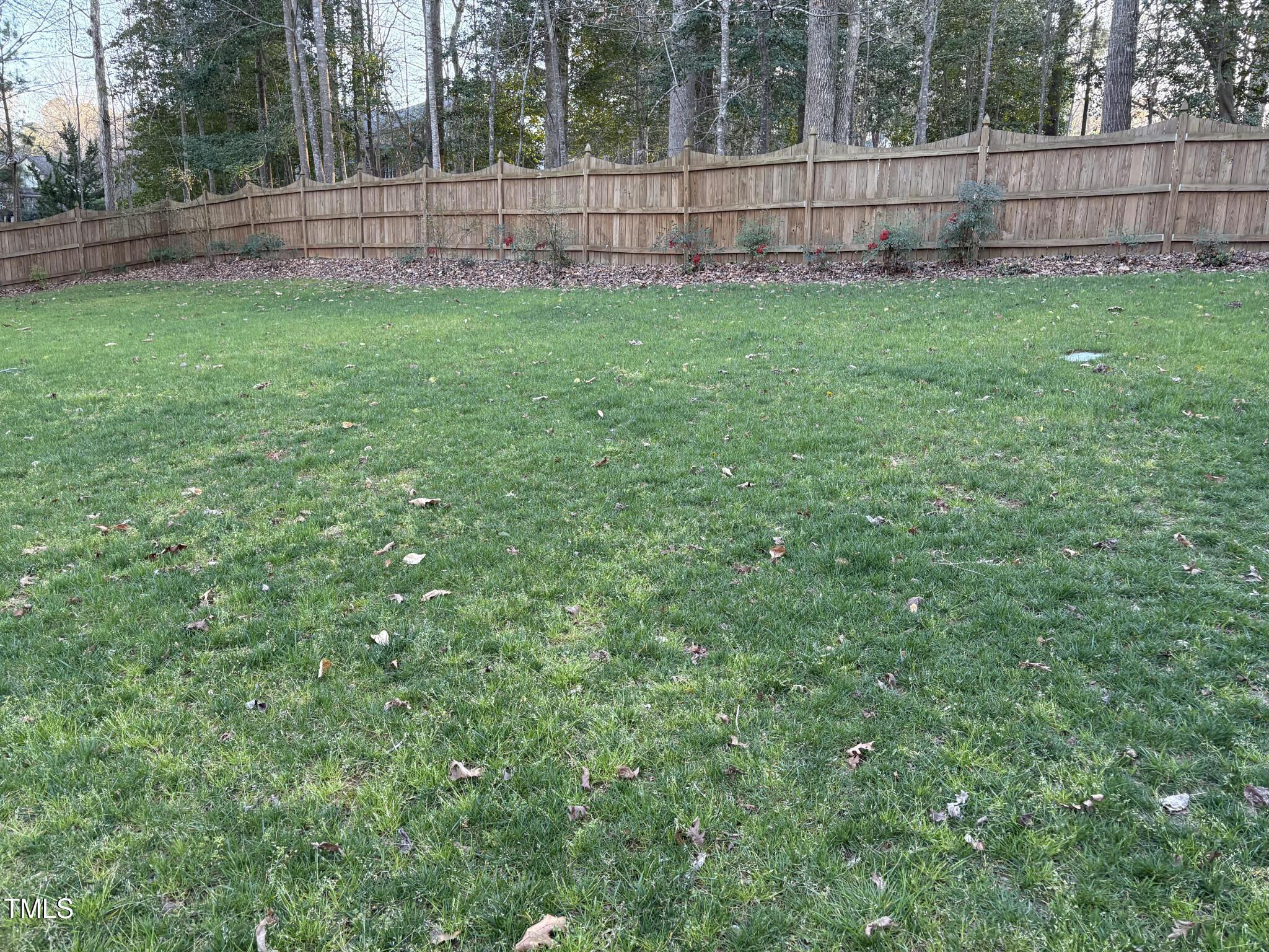 Photo #21
