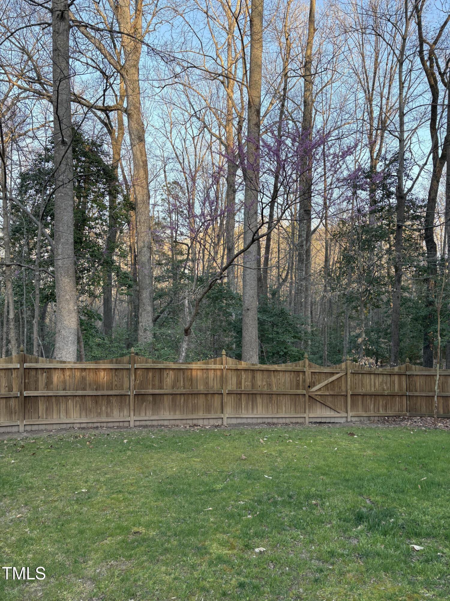 Photo #22