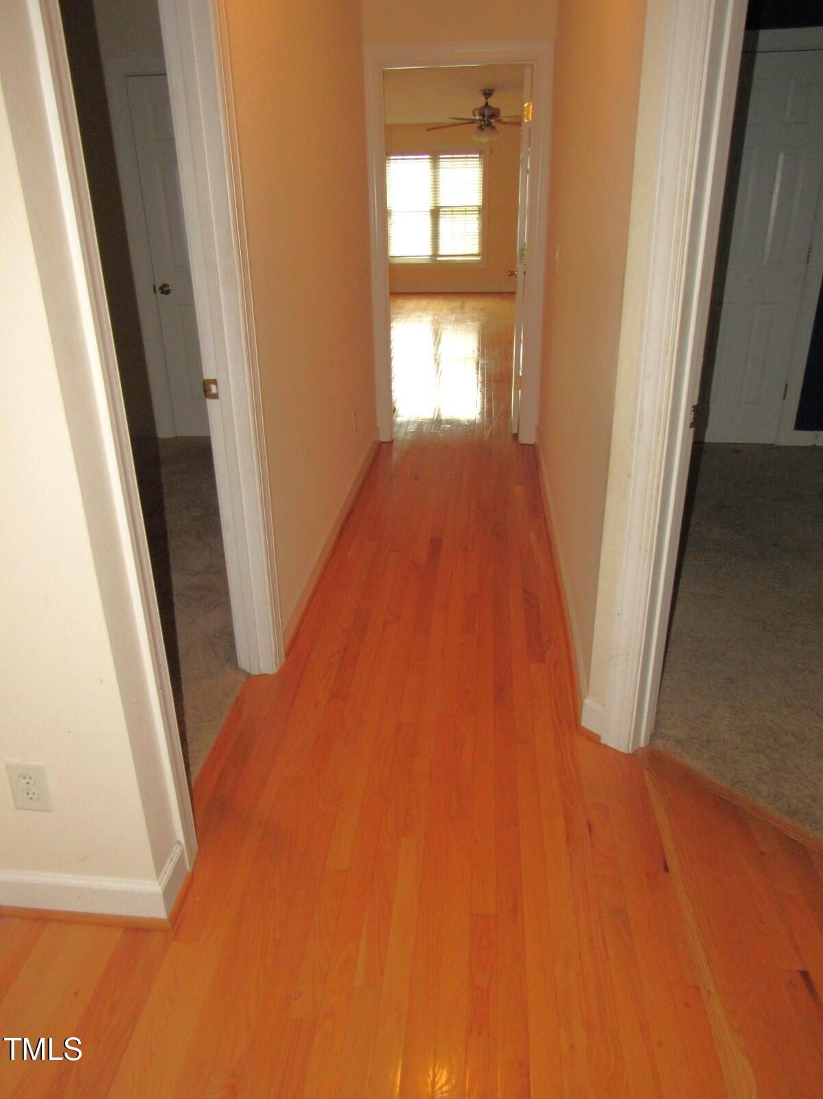 Photo #25