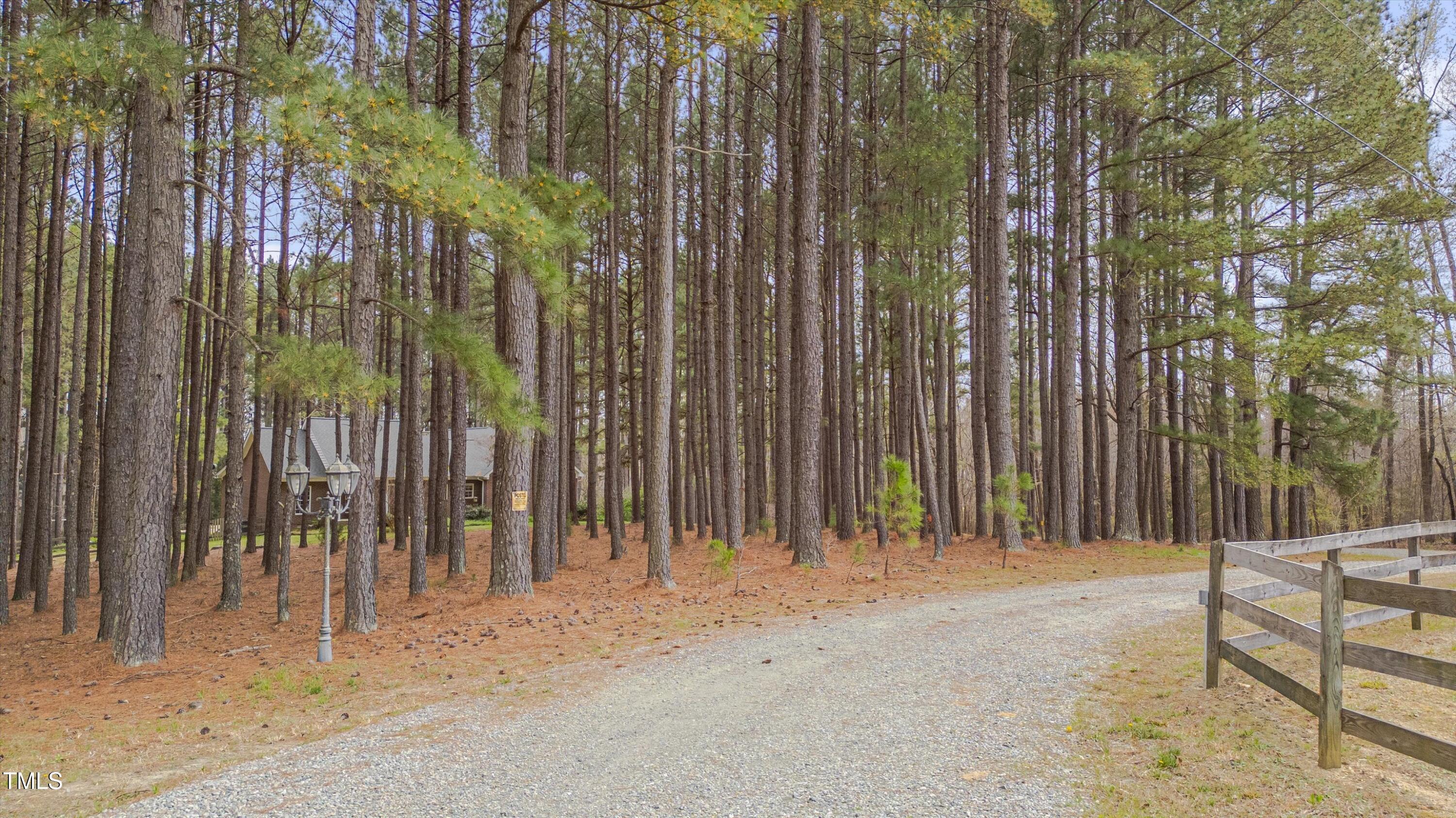 Photo #46