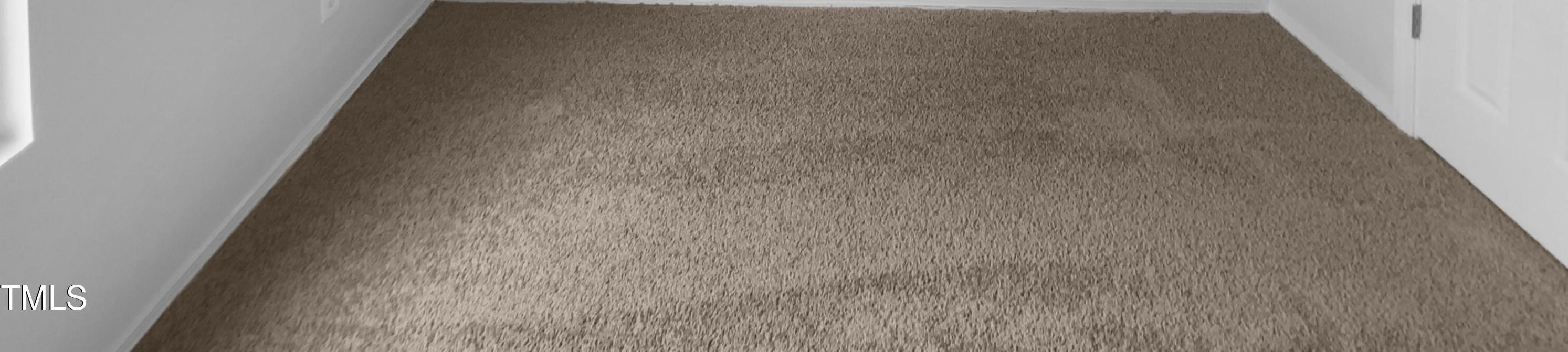 Photo #19