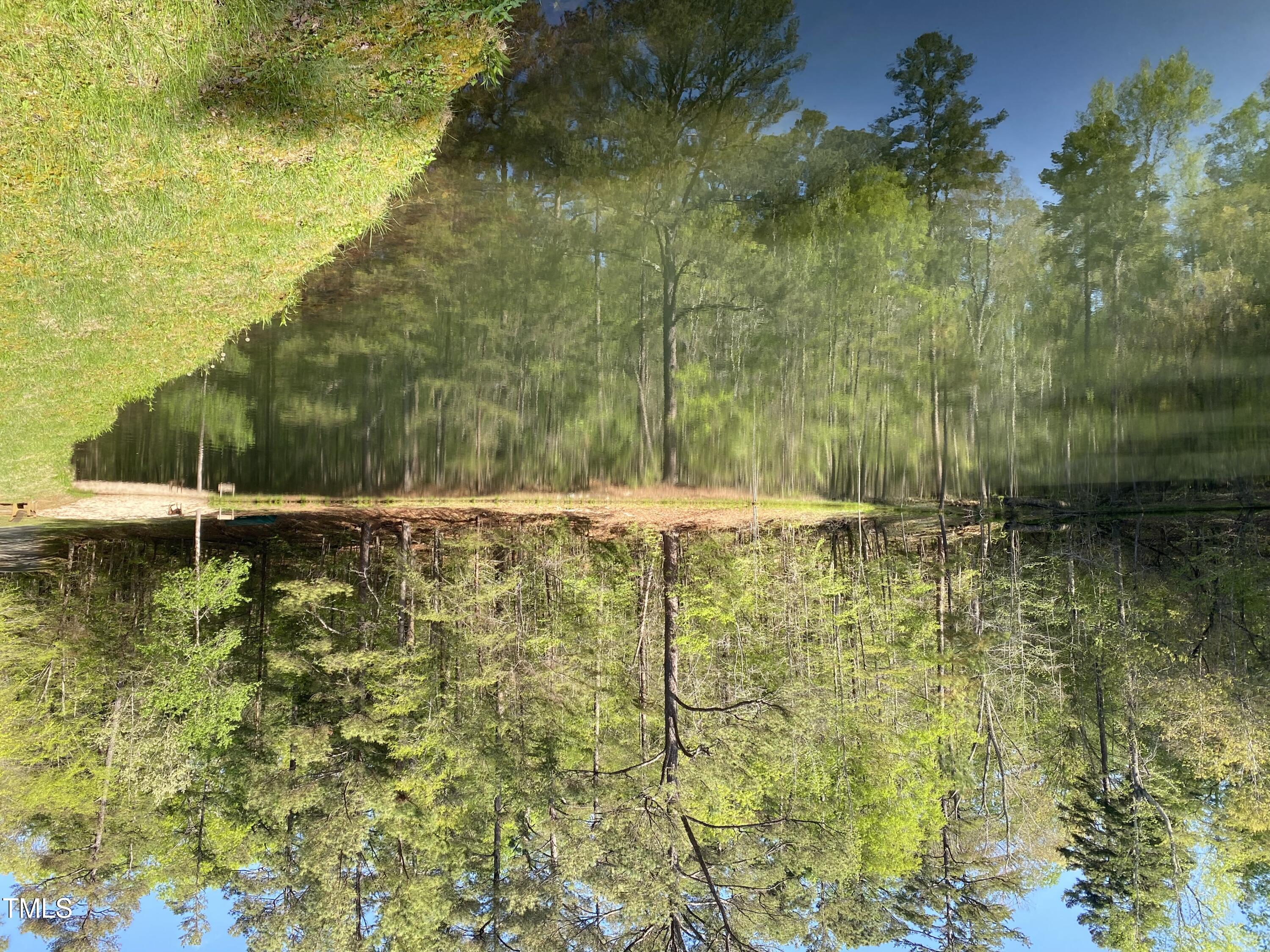 Photo #56
