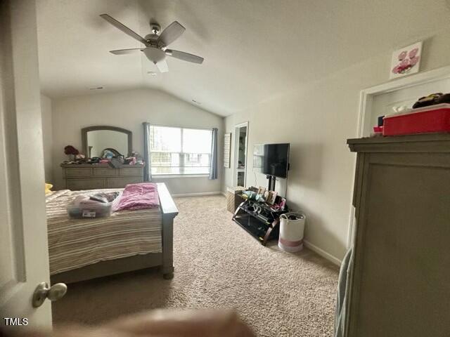 Photo #14