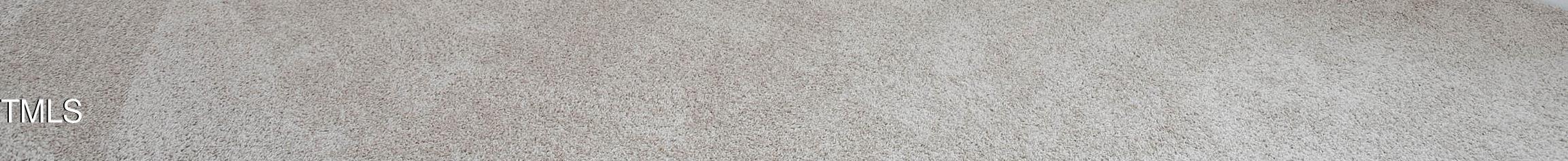 Photo #24