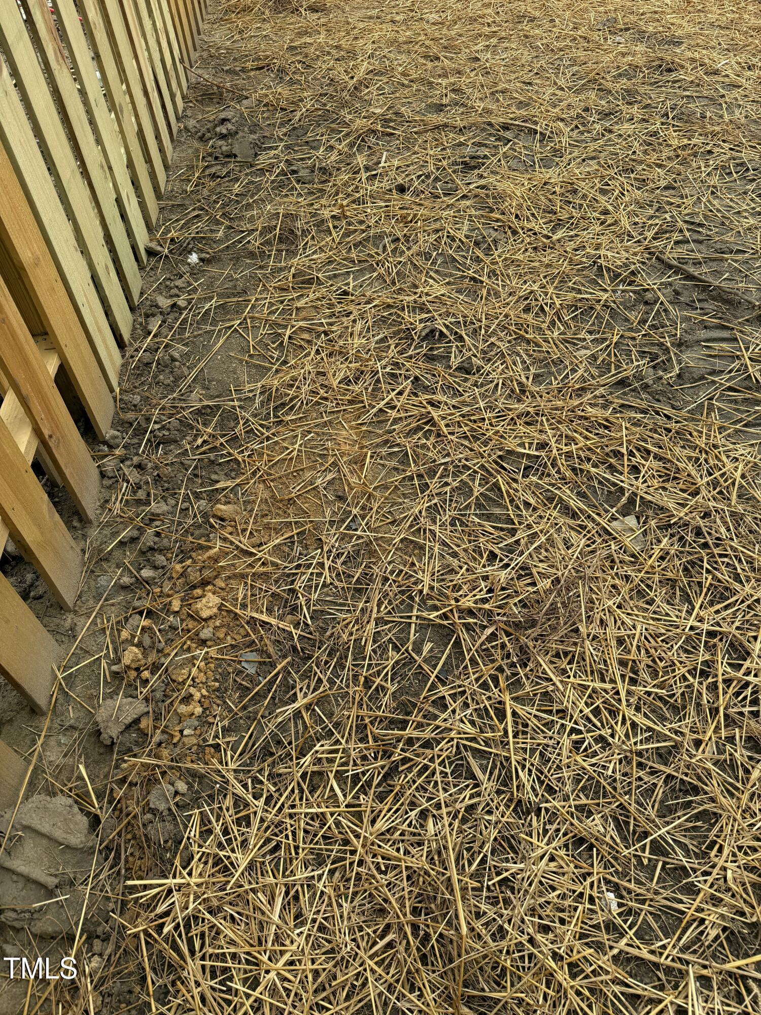 Photo #18