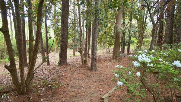 Photo #30