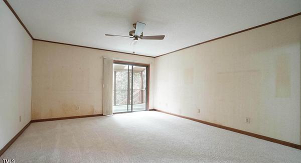 Photo #16