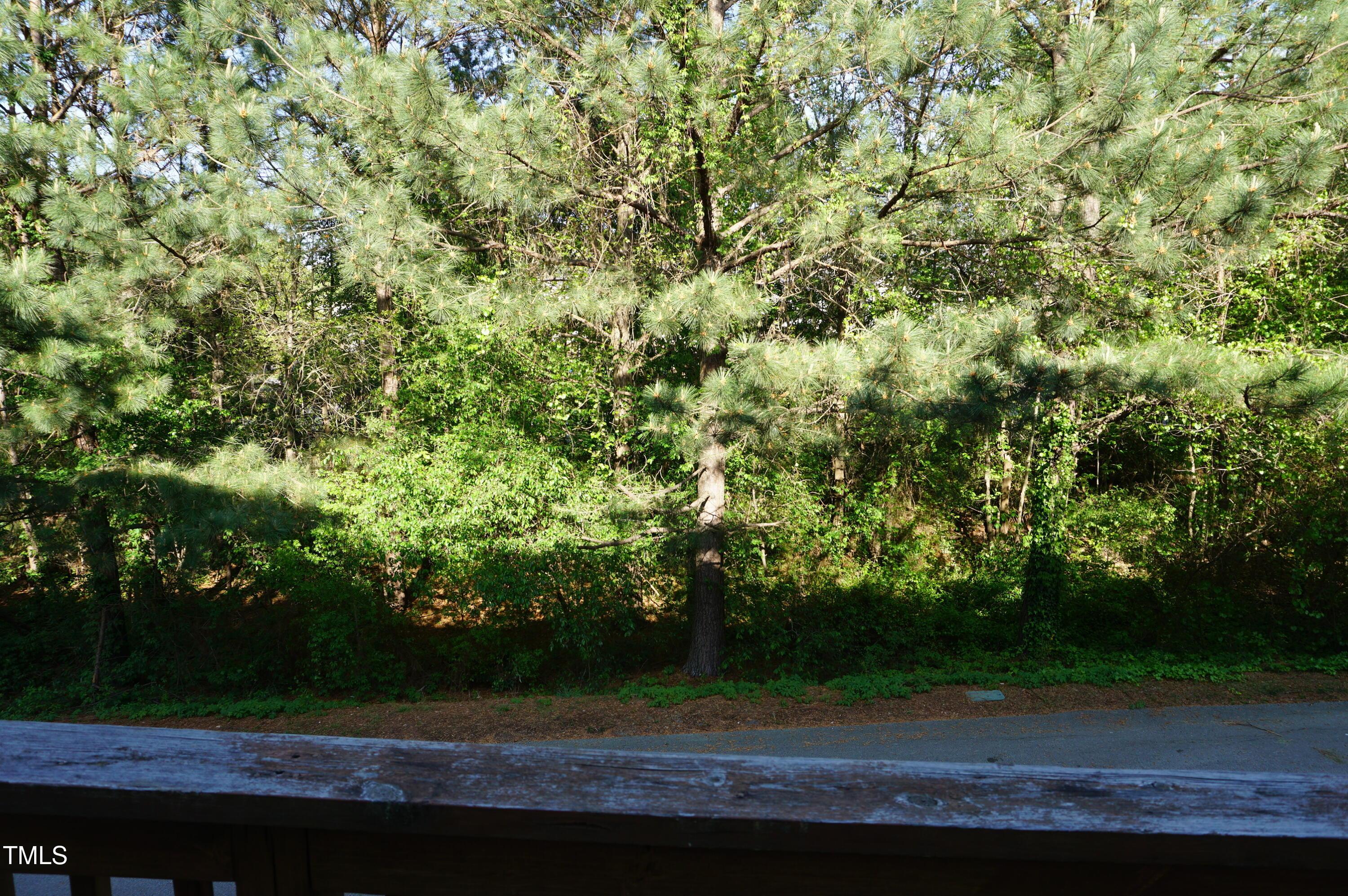 Photo #42