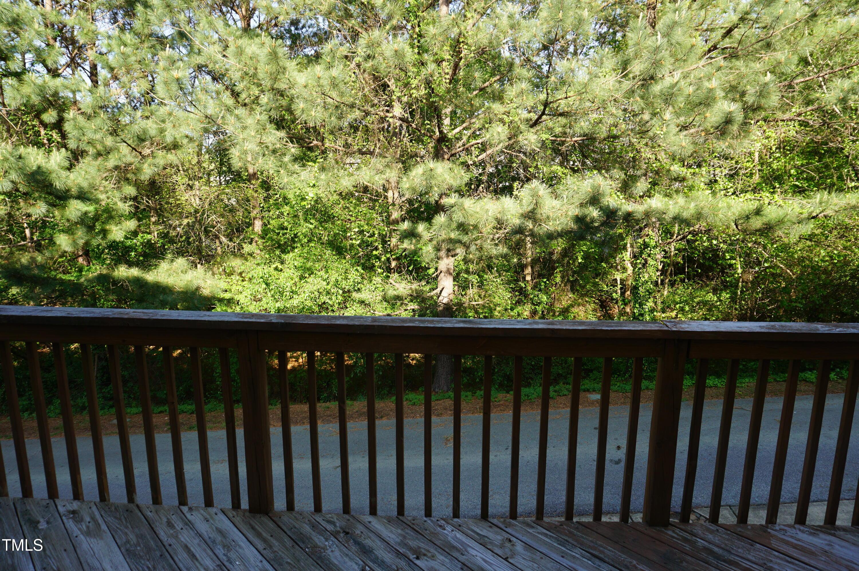 Photo #41
