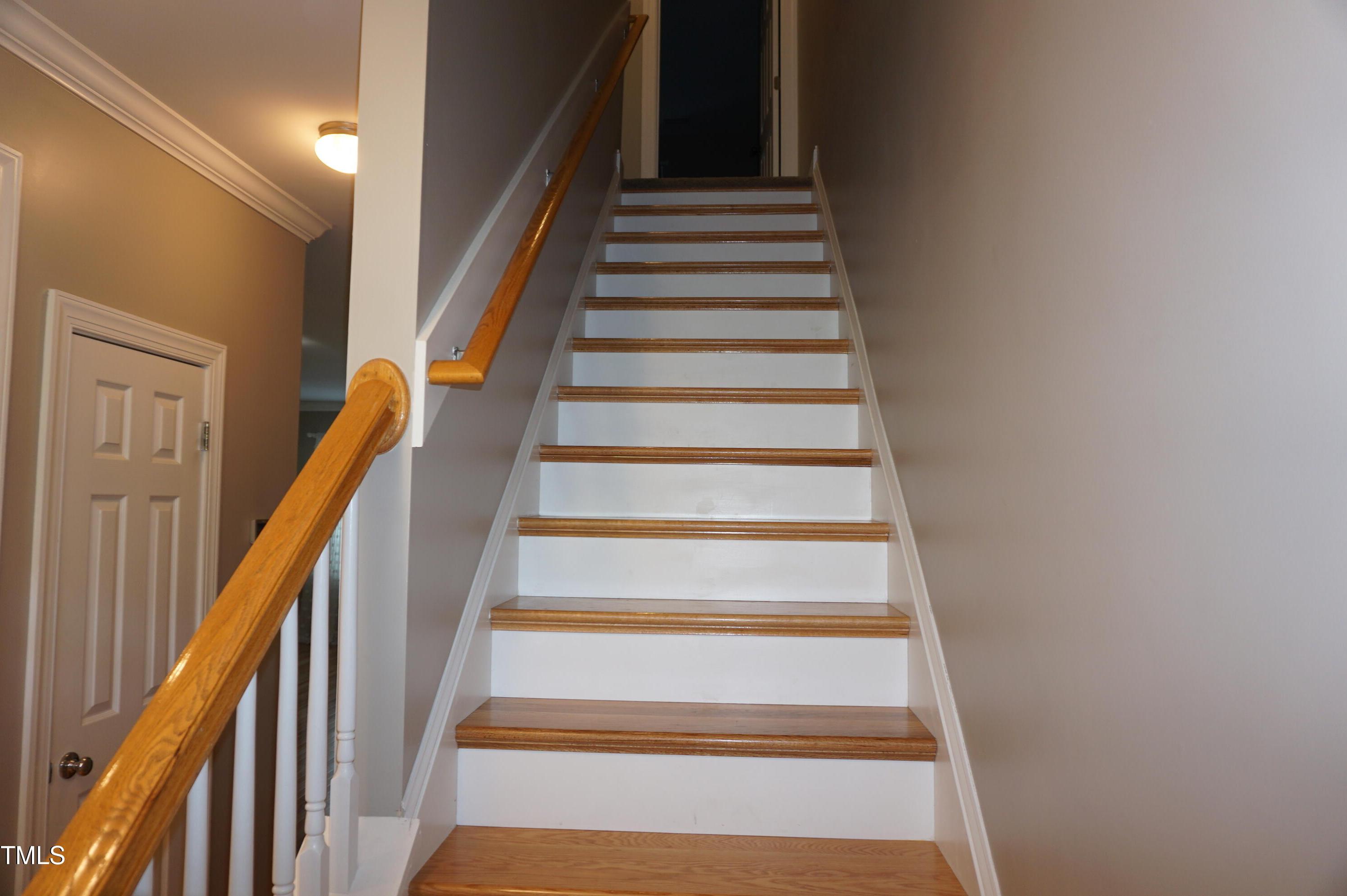 Photo #24