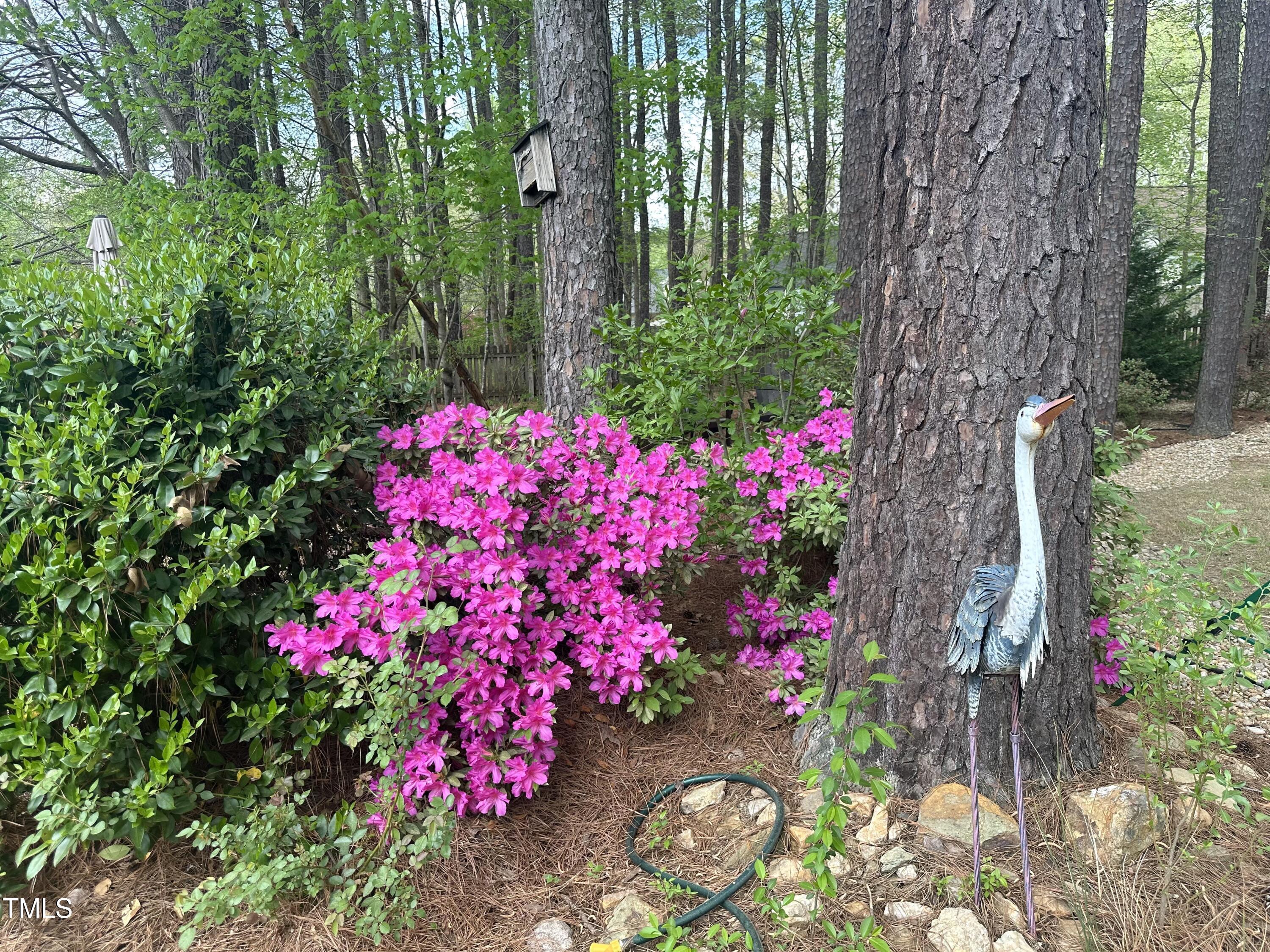 Photo #40